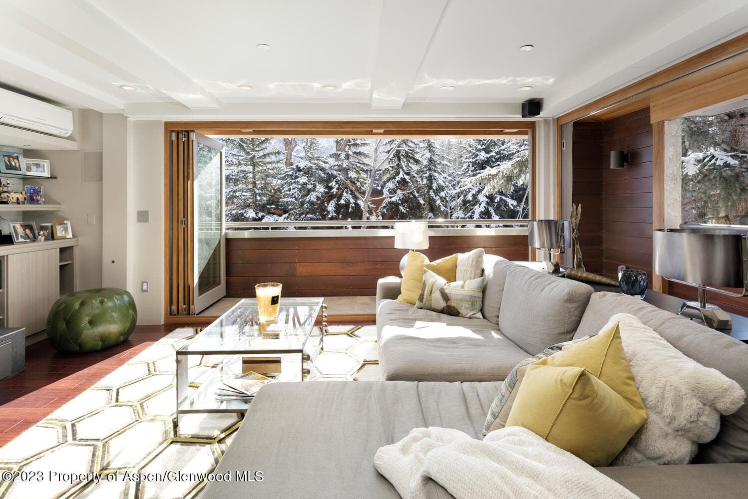 600 E Main Street 210, Aspen, CO 81611 - Photo 1