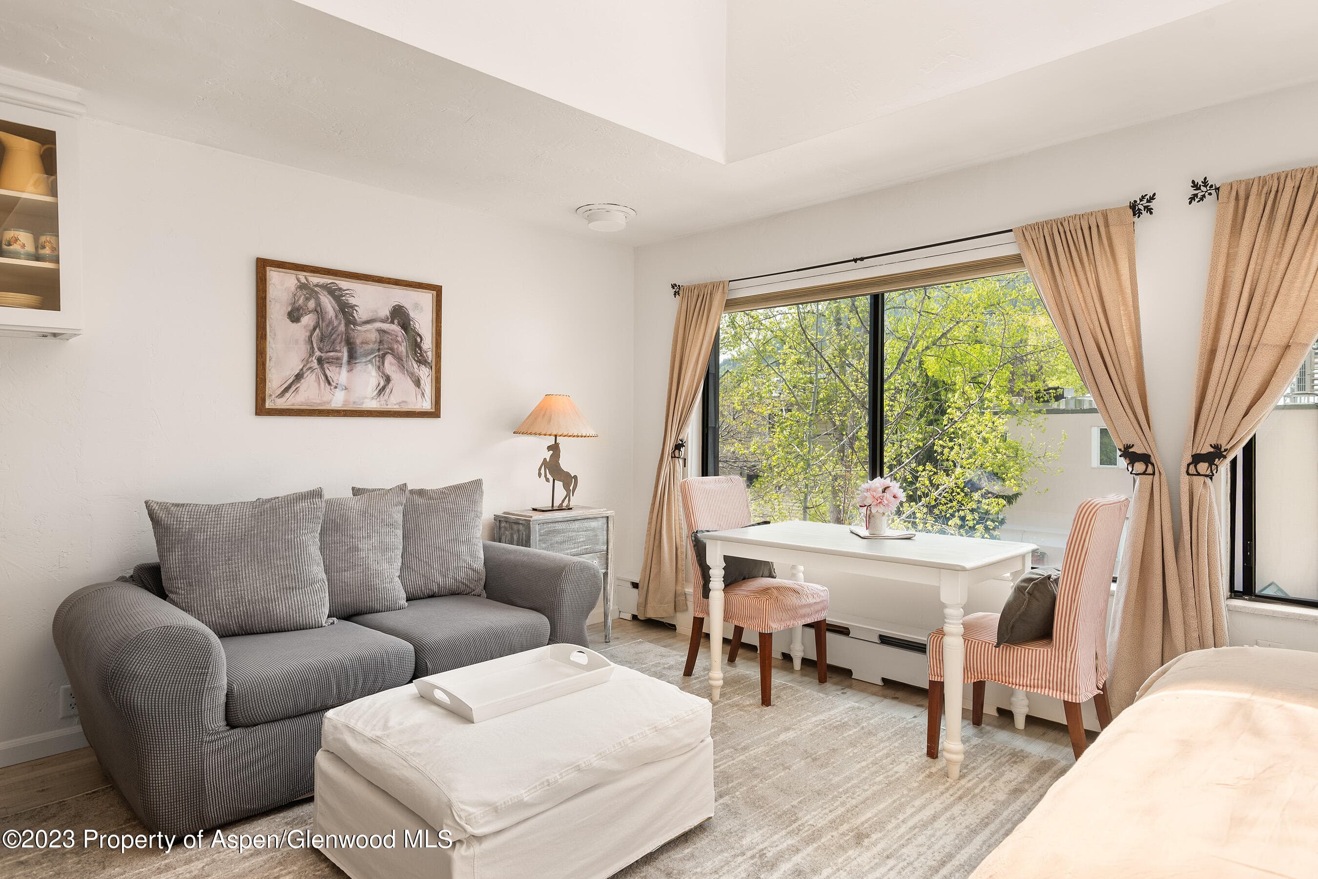 725 E Main Street #305, Aspen, CO 81611 - Photo 1