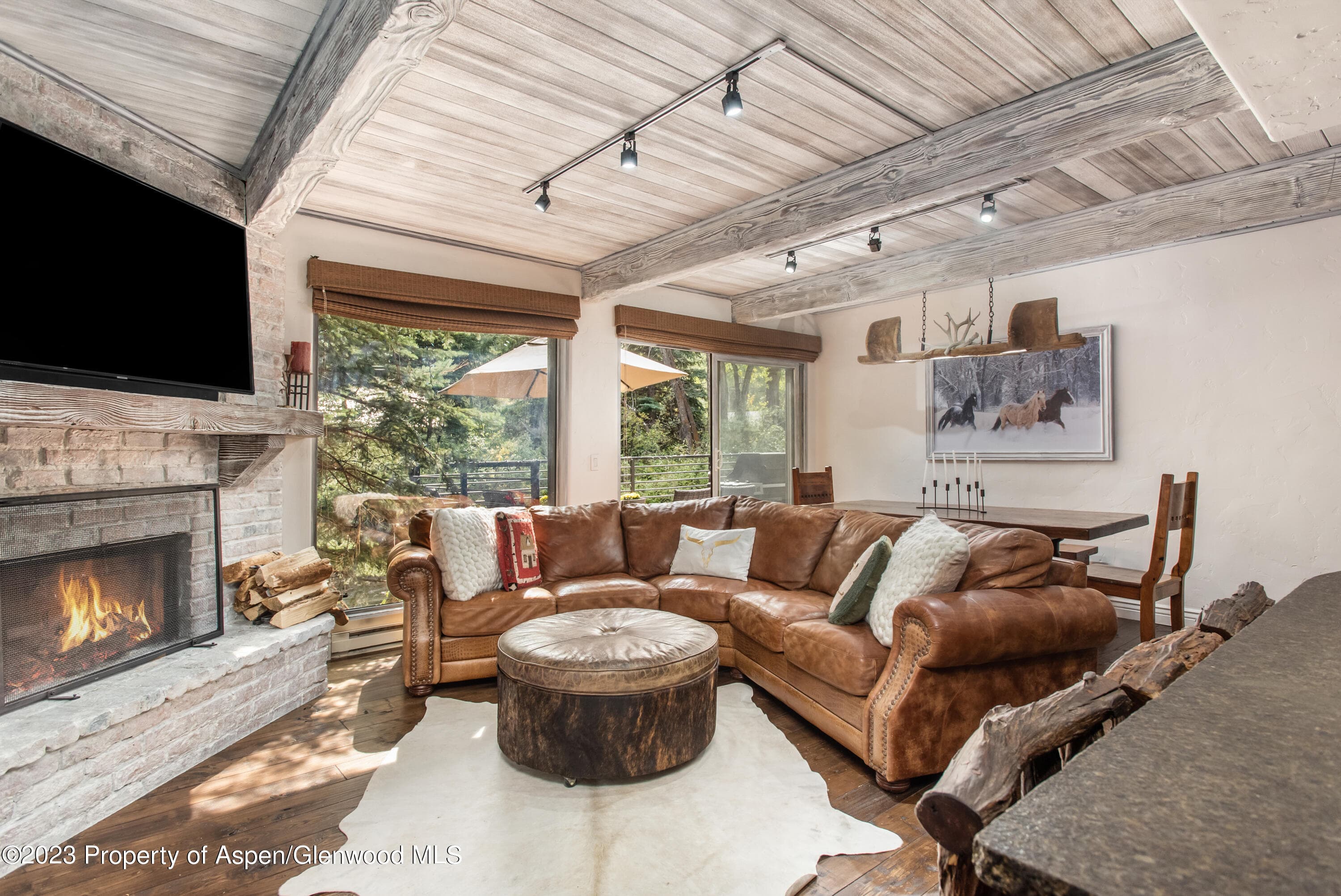 1039 E Cooper Avenue 9, Aspen, CO 81611 - Photo 1