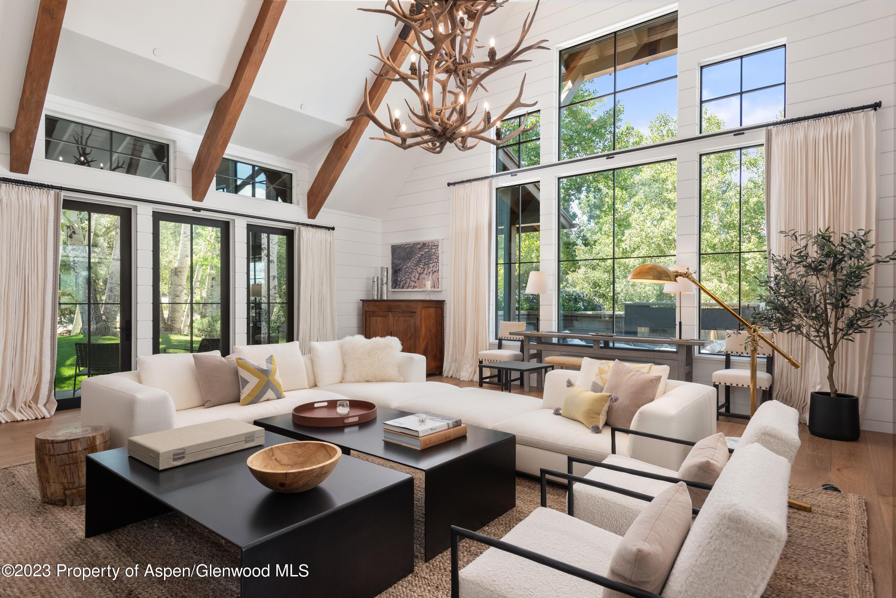 11 Heather Lane, Aspen, CO 81611 - Photo 1