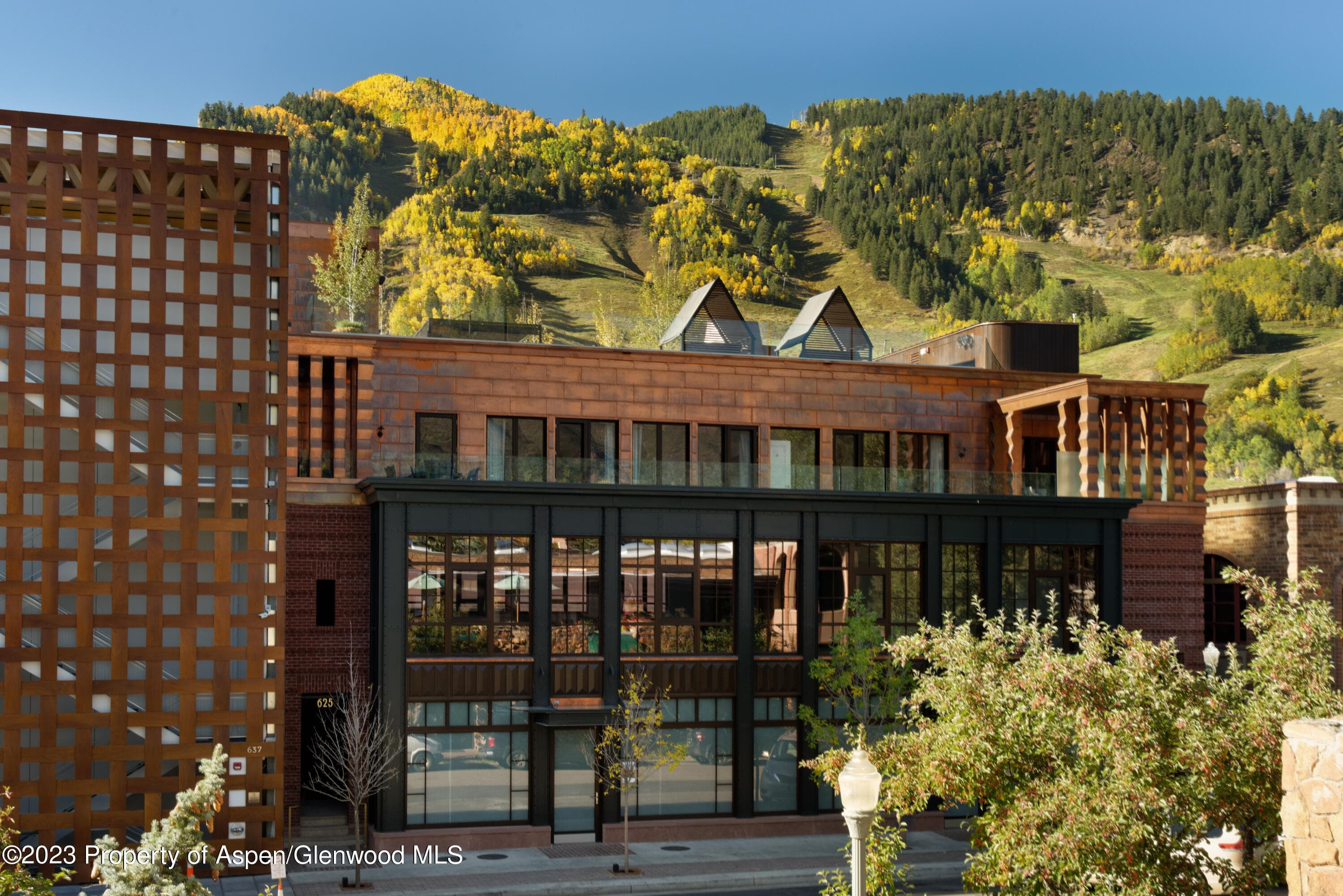 625 E Hyman Avenue 001, Aspen, CO 81611 - Photo 1