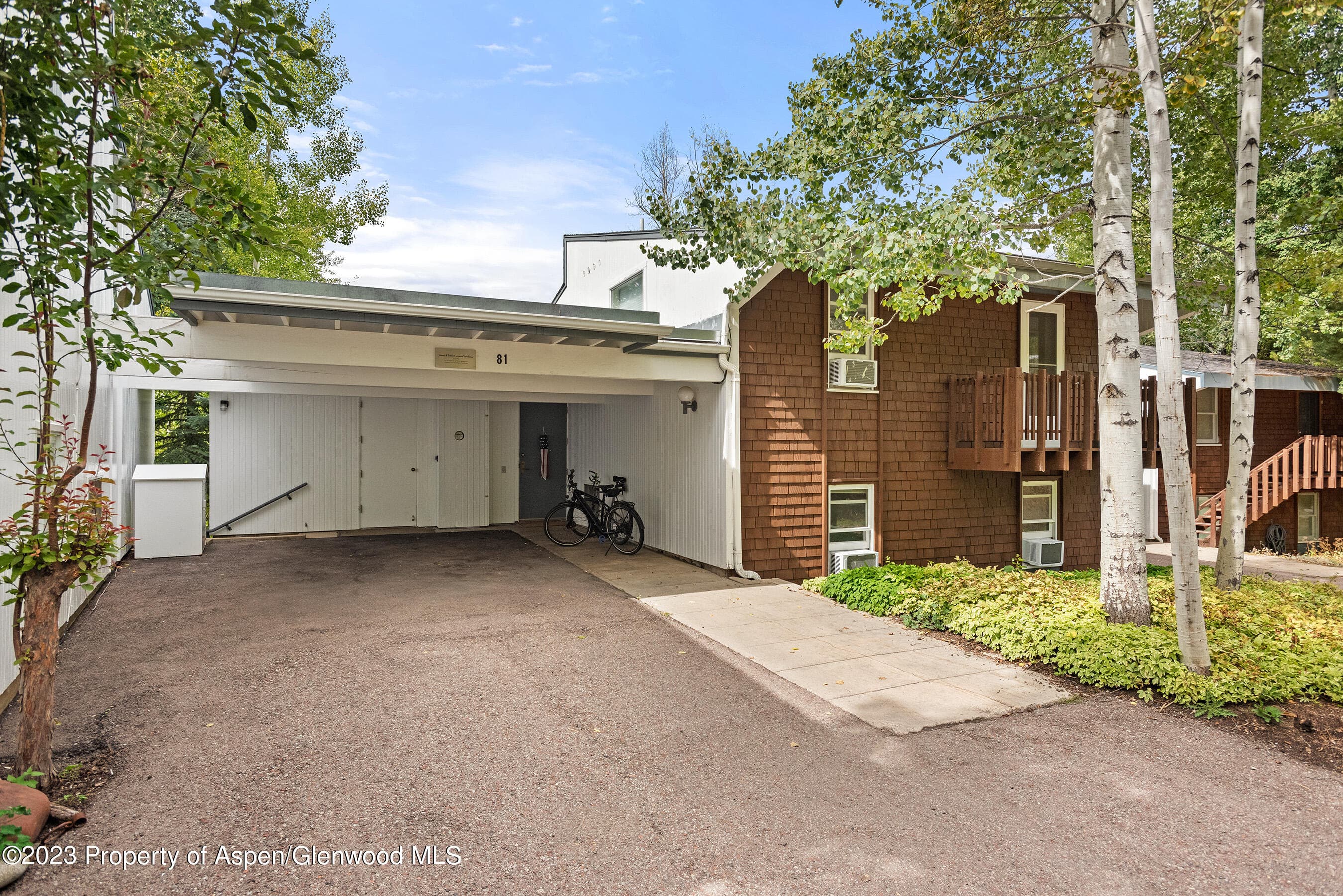 81 Meadows Trustee Road, Aspen, CO 81611 - Photo 1