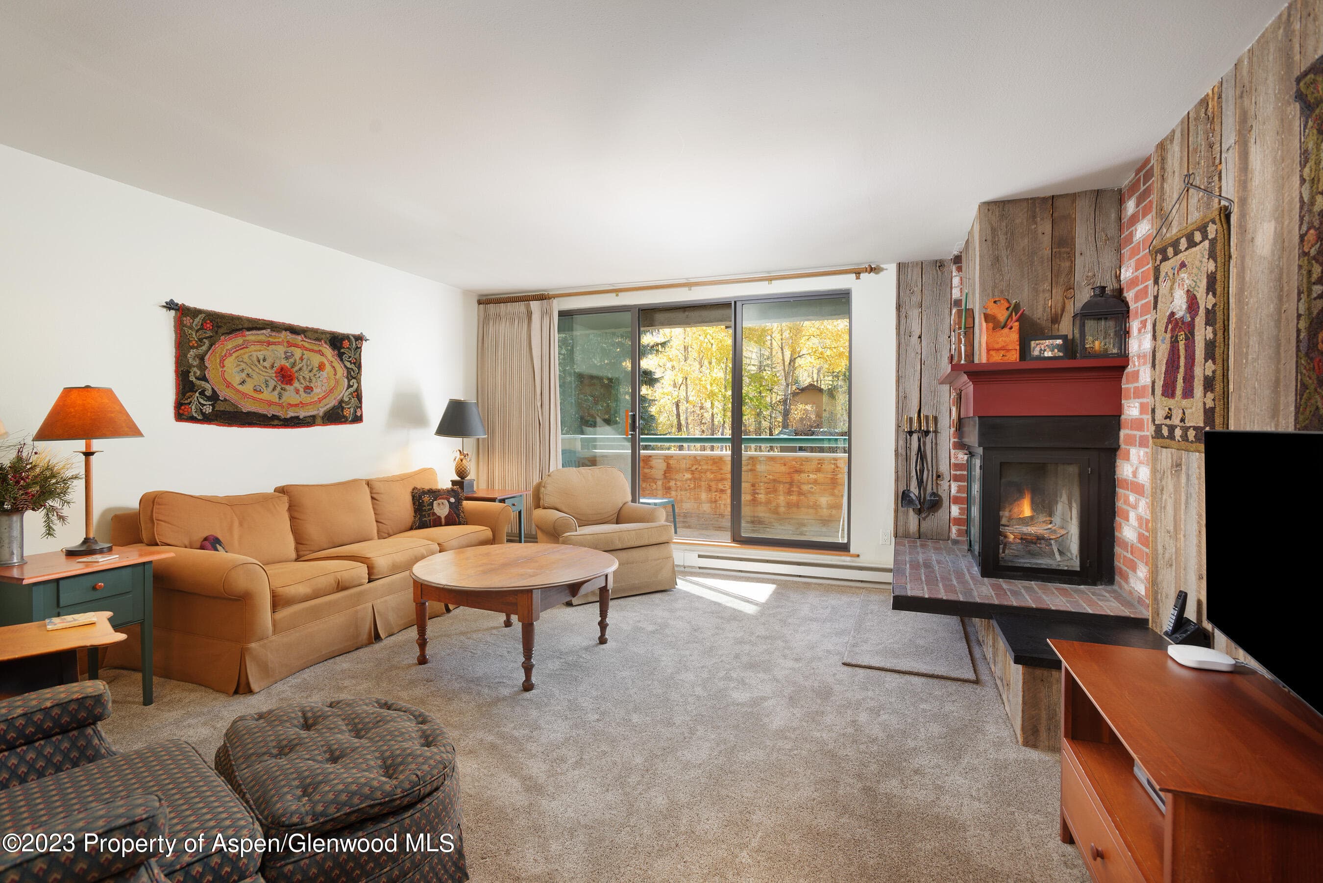 1024 E Hopkins Avenue 12, Aspen, CO 81611 - Photo 1
