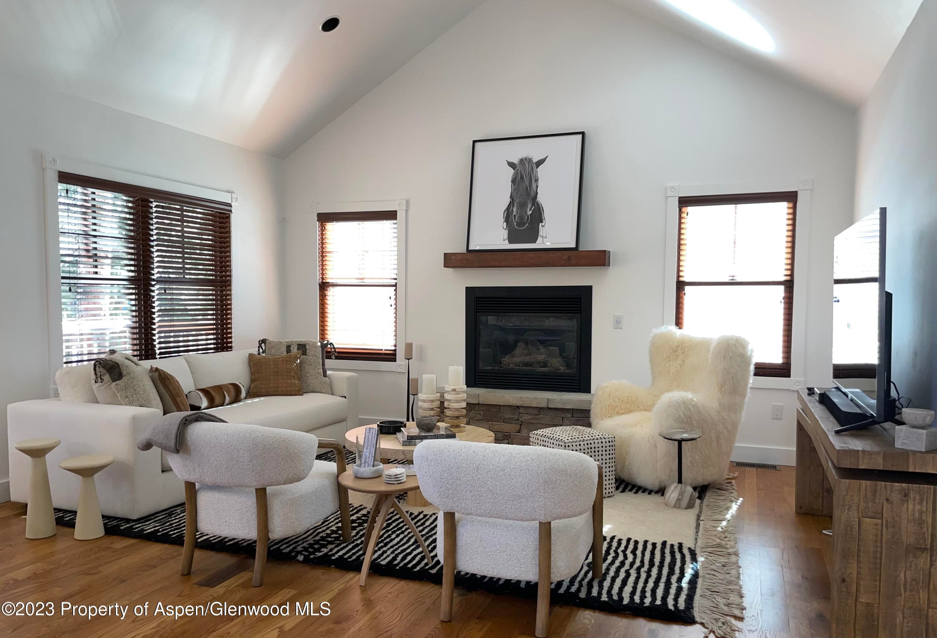 519 W Main Street D-101, Aspen, CO 81611 - Photo 1