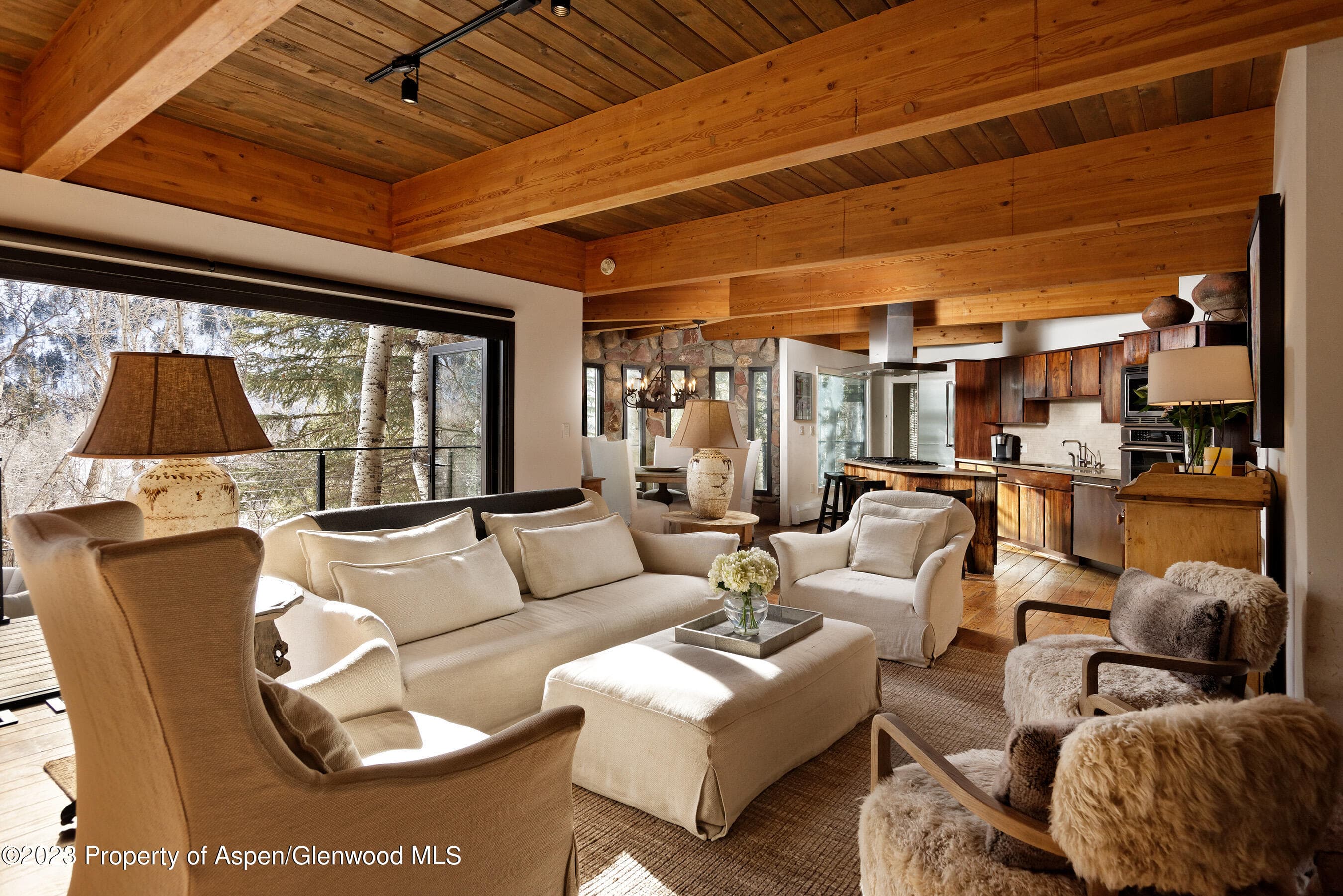 164 Eastwood Road, Aspen, CO 81611 - Photo 1