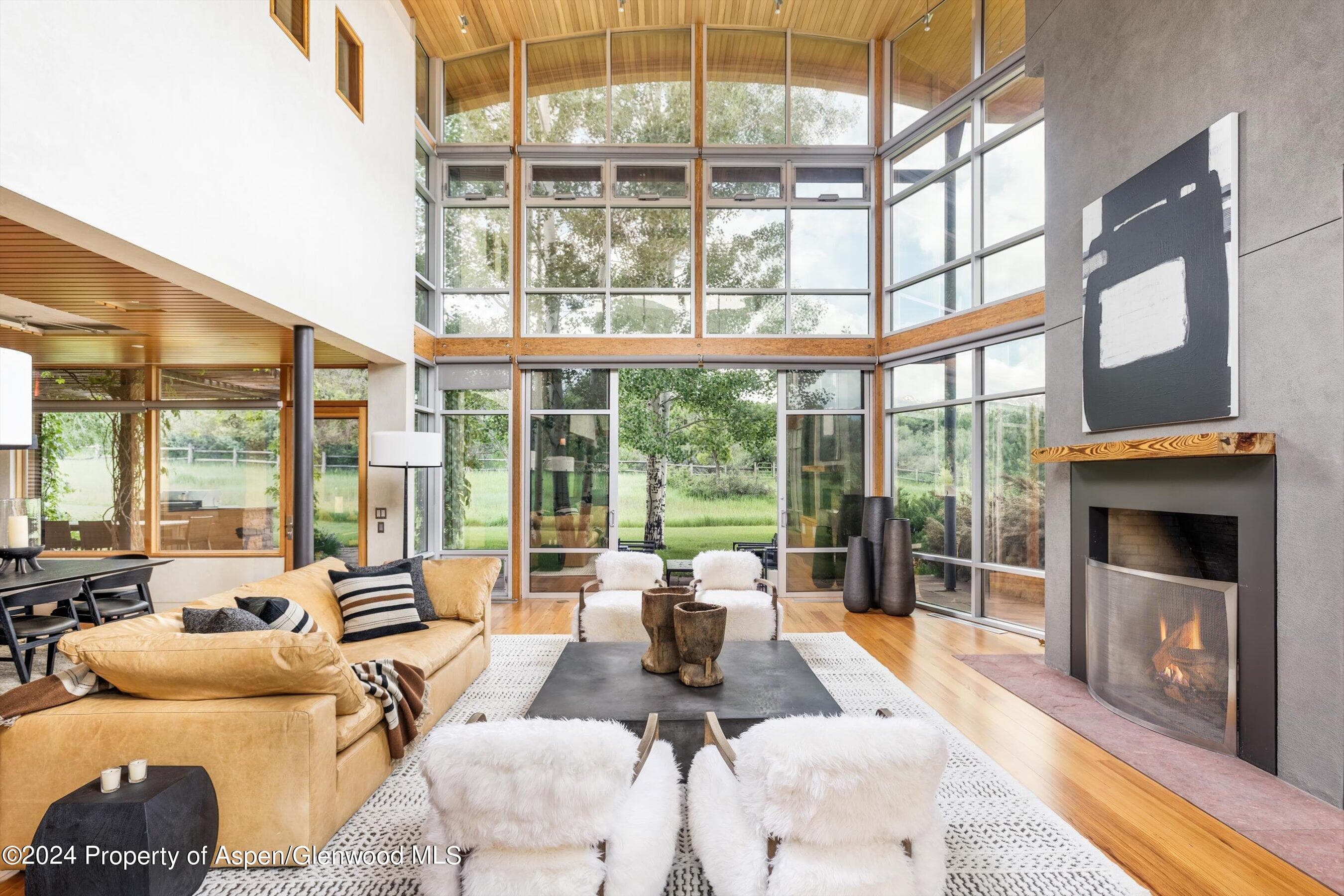700 Nell Erickson Road, Aspen, CO 81611 - Photo 1
