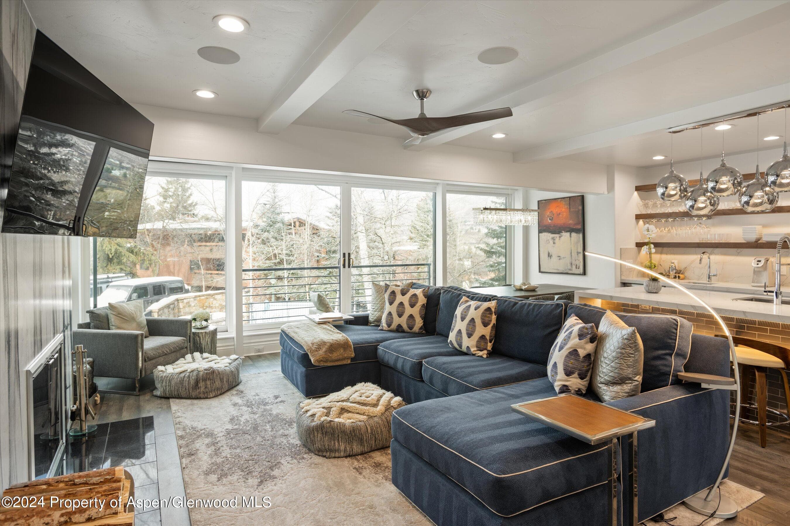 748 S Galena Street 2D, Aspen, CO 81611 - Photo 1