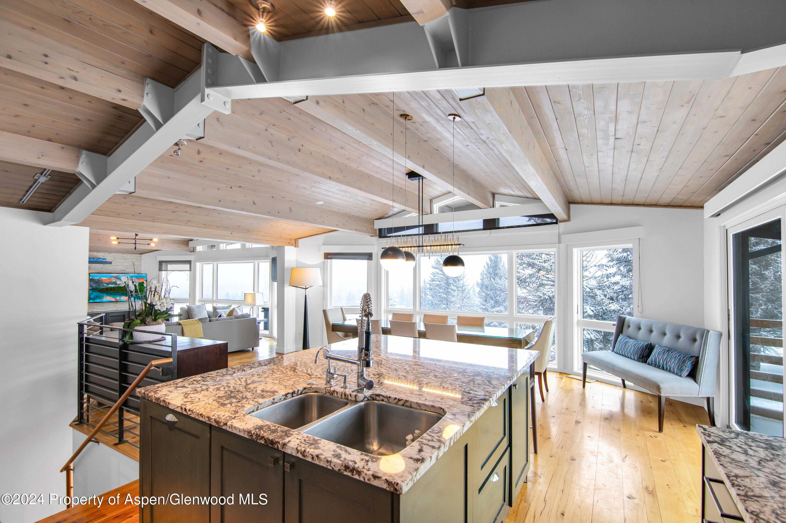 809 S Aspen Street 5&6, Aspen, CO 81611 - Photo 1