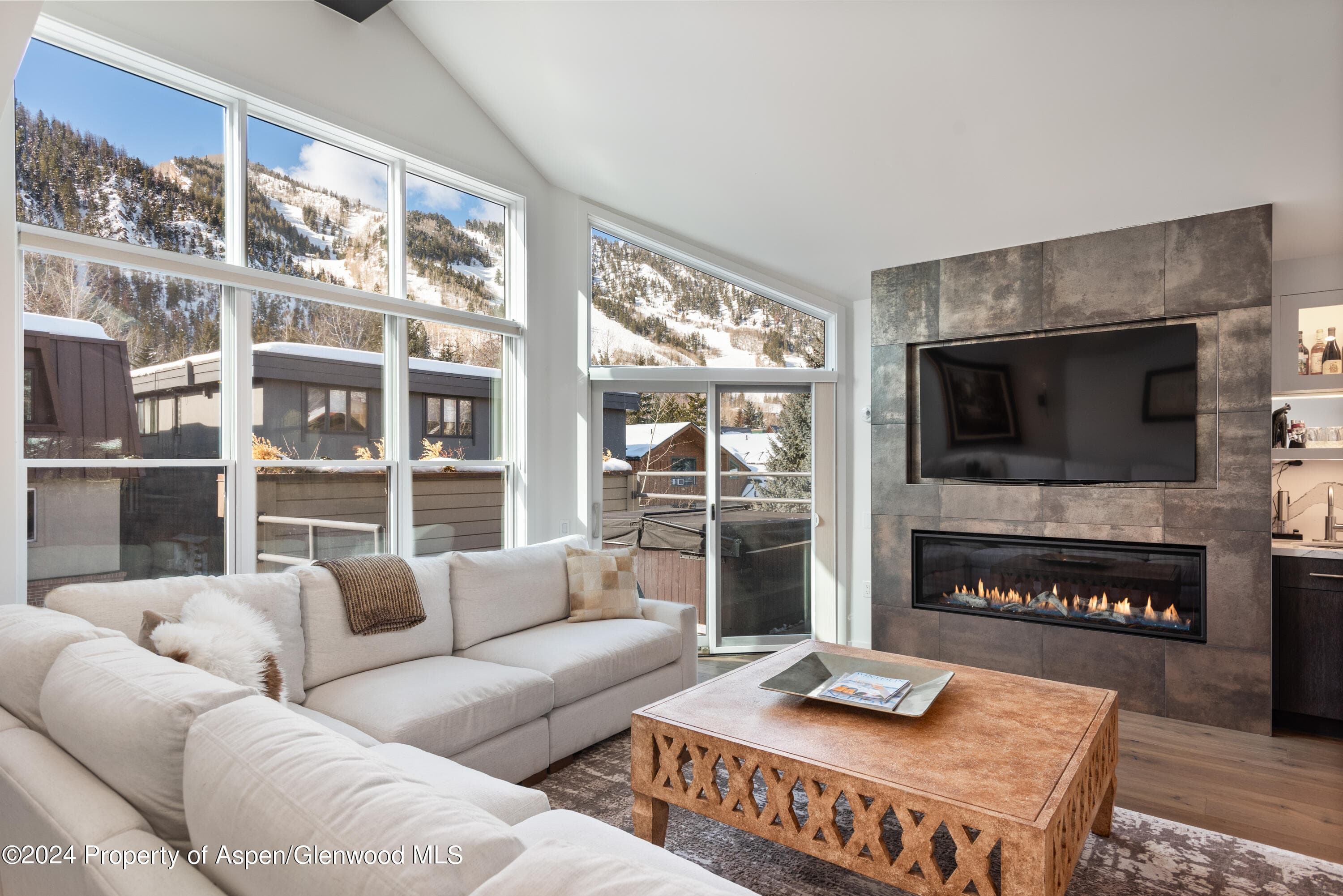 927 E Durant Avenue 3, Aspen, CO 81611 - Photo 1