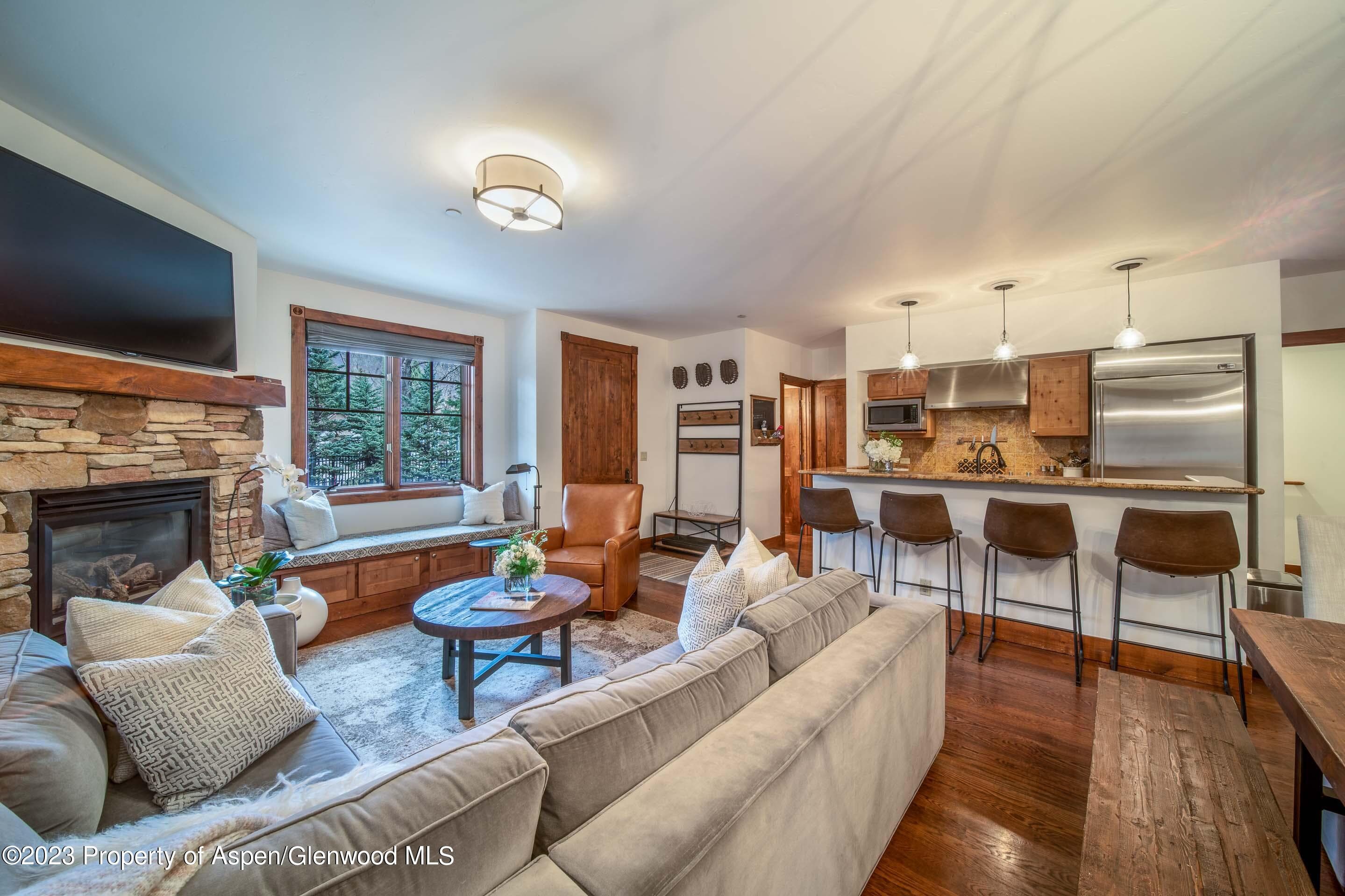 503 W Main Street B101, Aspen, CO 81611 - Photo 1
