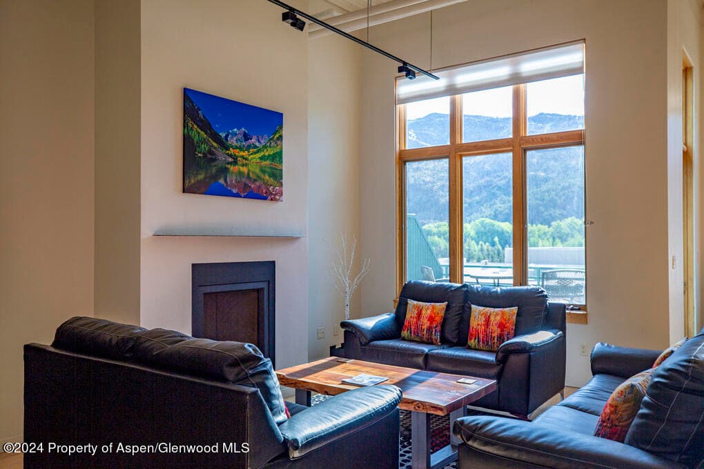 231 Robinson Street 330, Basalt, CO 81621 - Photo 1