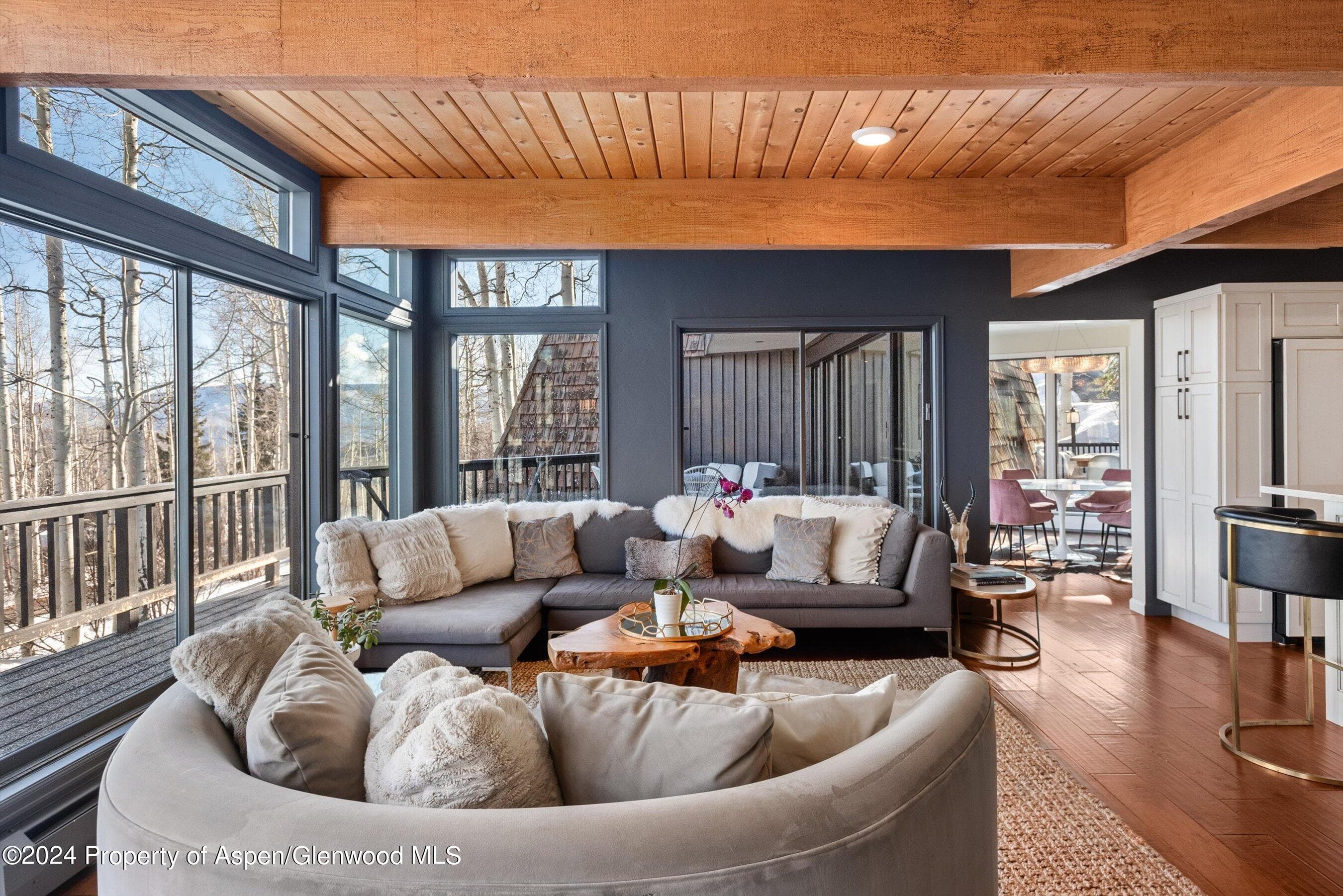 49 Elk Ridge Lane, Snowmass Village, CO 81615 - Photo 1
