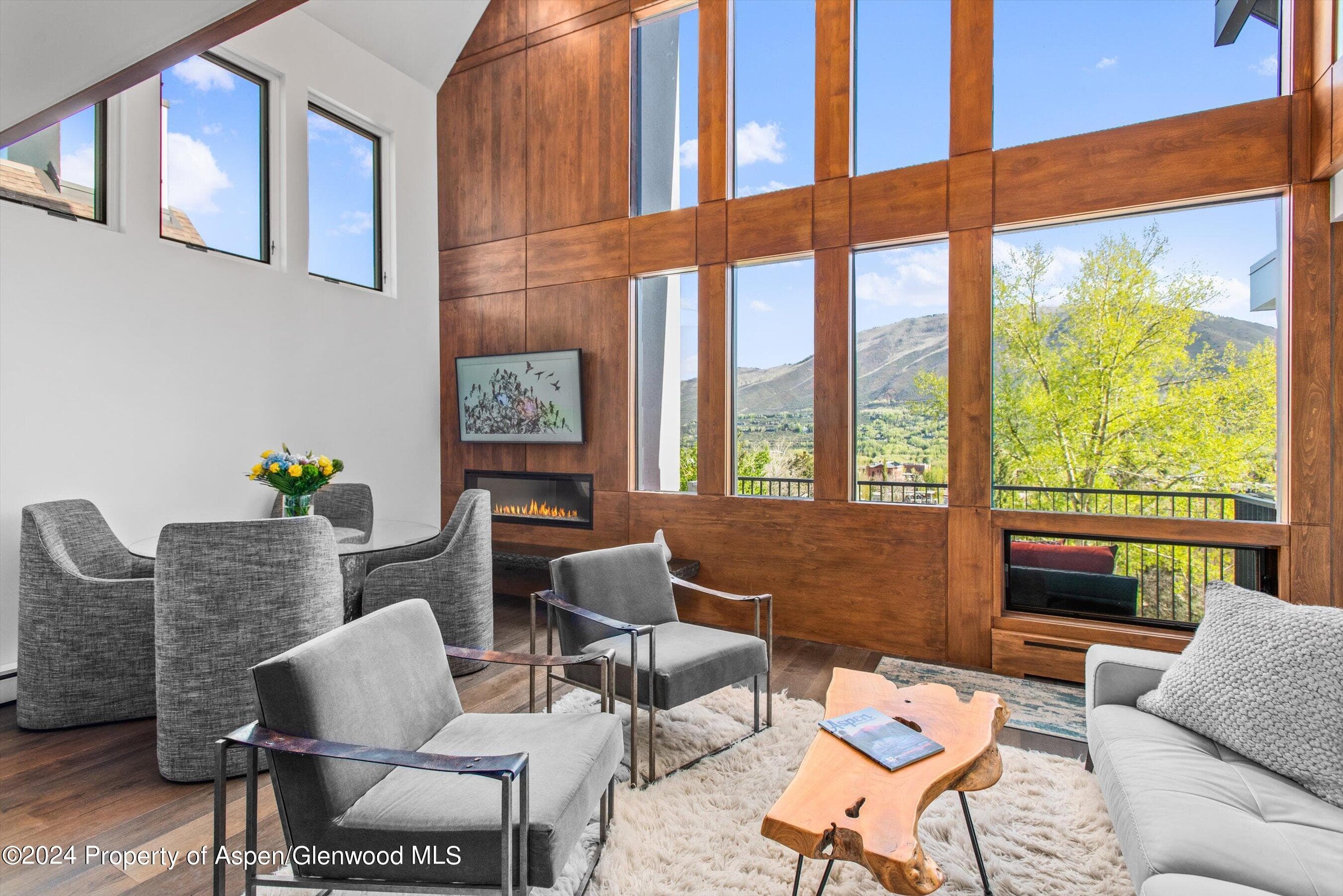 800 S Mill Street #306, Aspen, CO 81611 - Photo 1