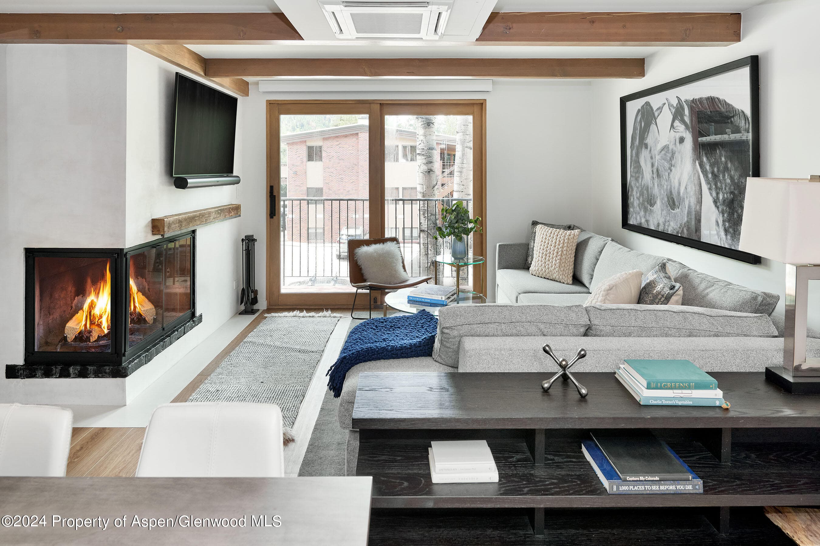 901 E Hyman Avenue 5, Aspen, CO 81611 - Photo 1
