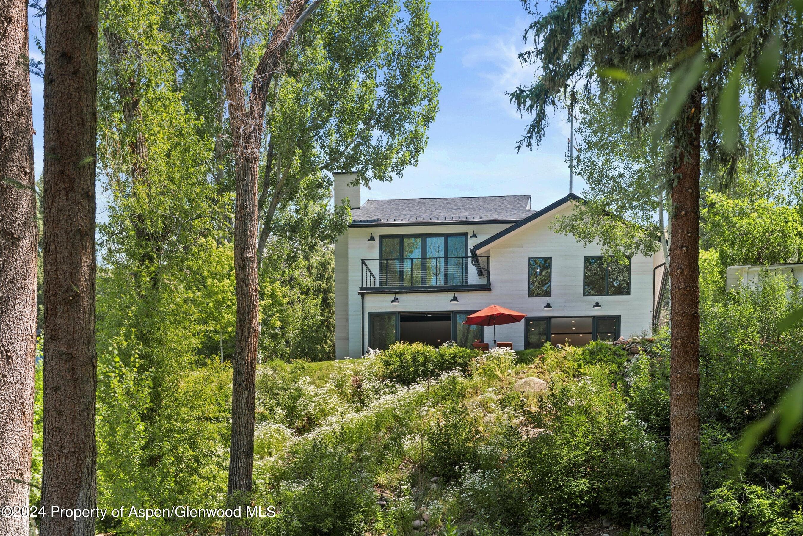 117 S Little Texas Lane, Woody Creek, CO 81656 - Photo 1
