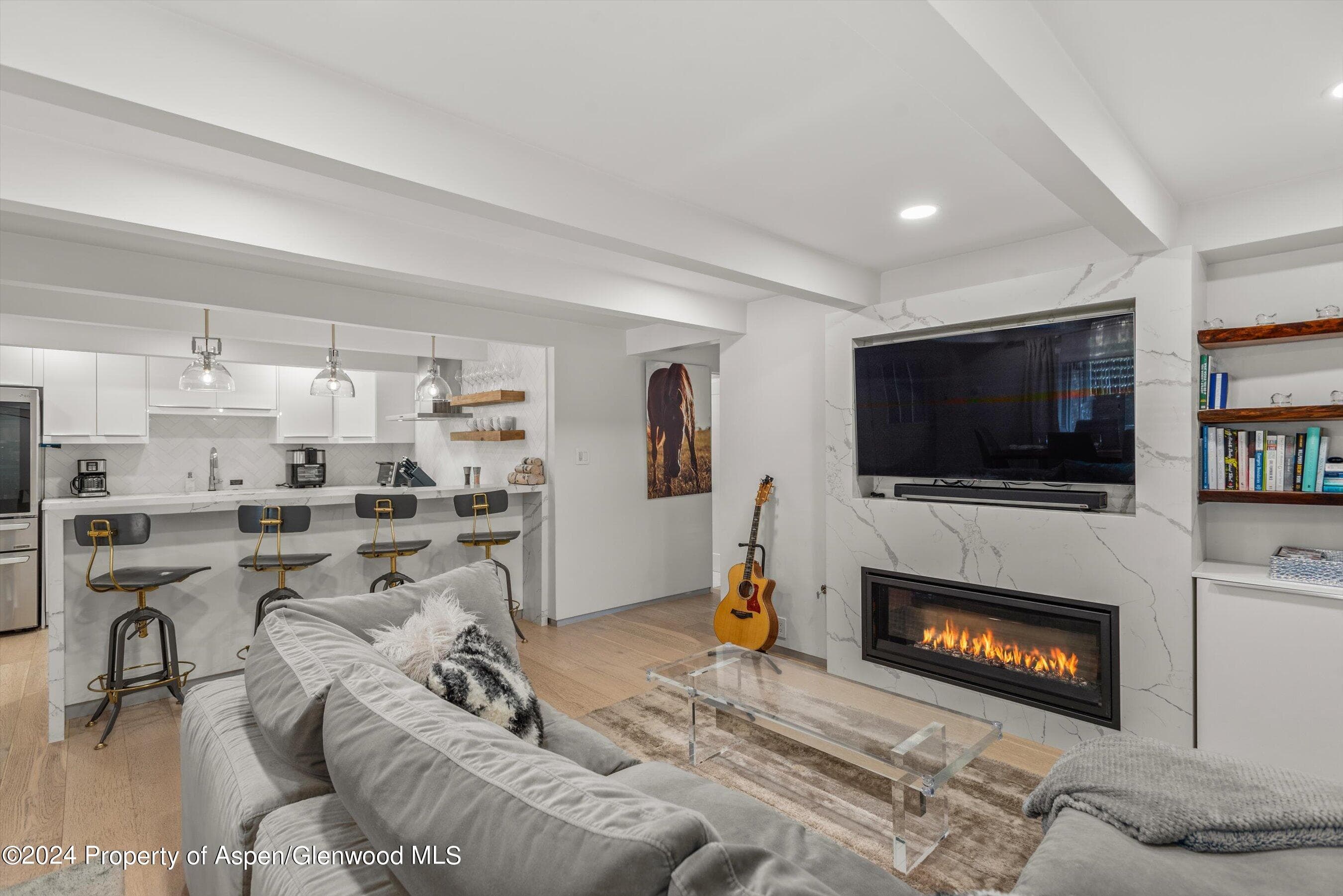 731 E Durant Avenue #2, Aspen, CO 81611 - Photo 1