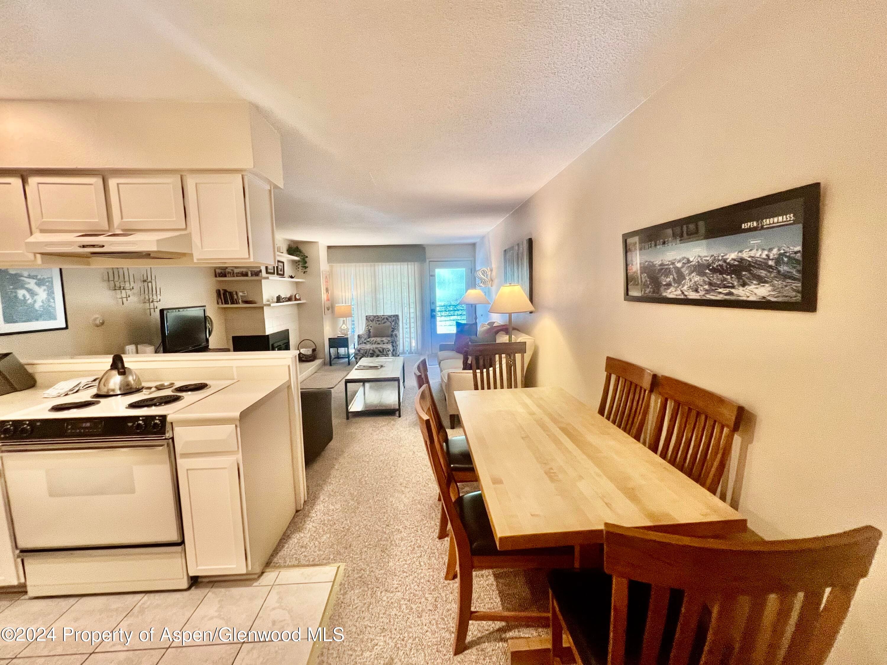 210 E Cooper Avenue 2D, Aspen, CO 81611 - Photo 1