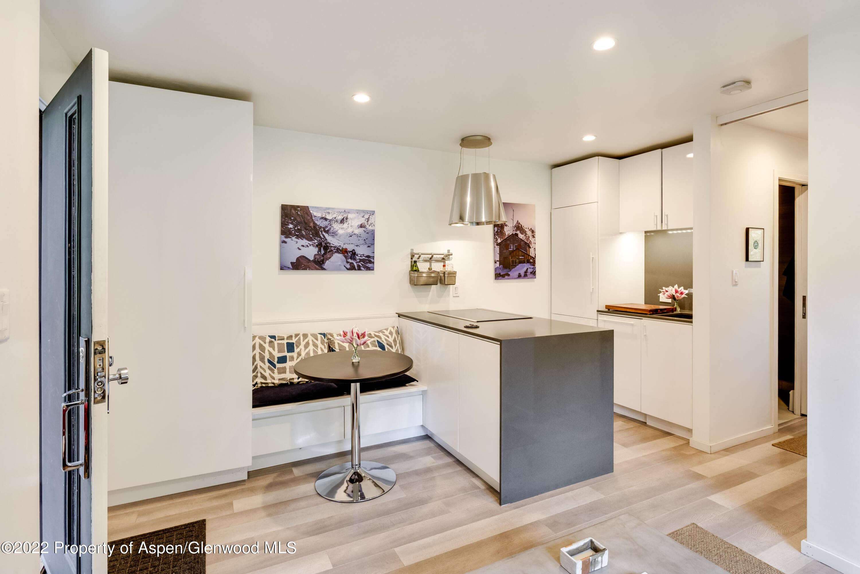 700 W Hopkins Avenue 6, Aspen, CO 81611 - Photo 1