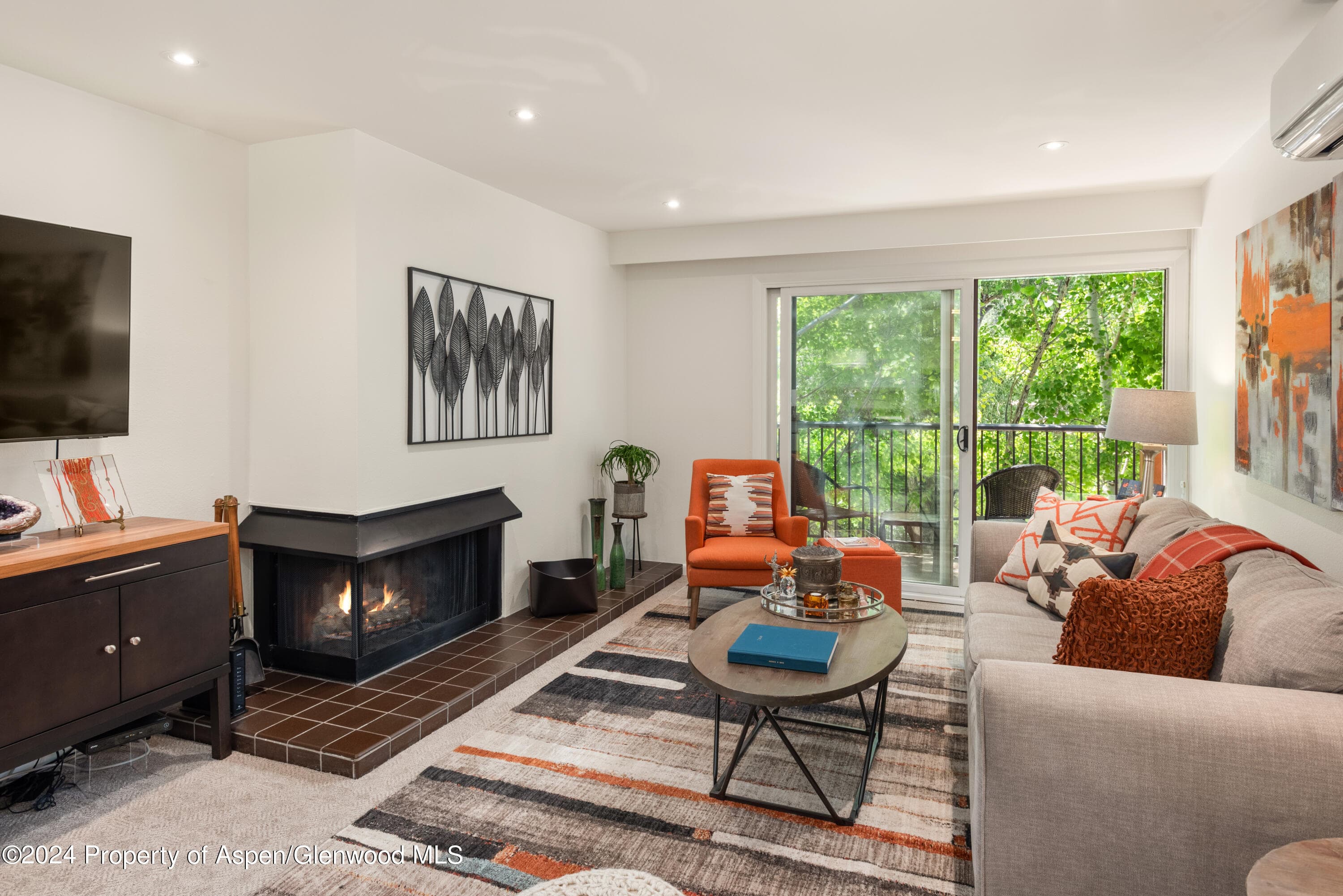 205 E Durant Avenue 3f, Aspen, CO 81611 - Photo 1