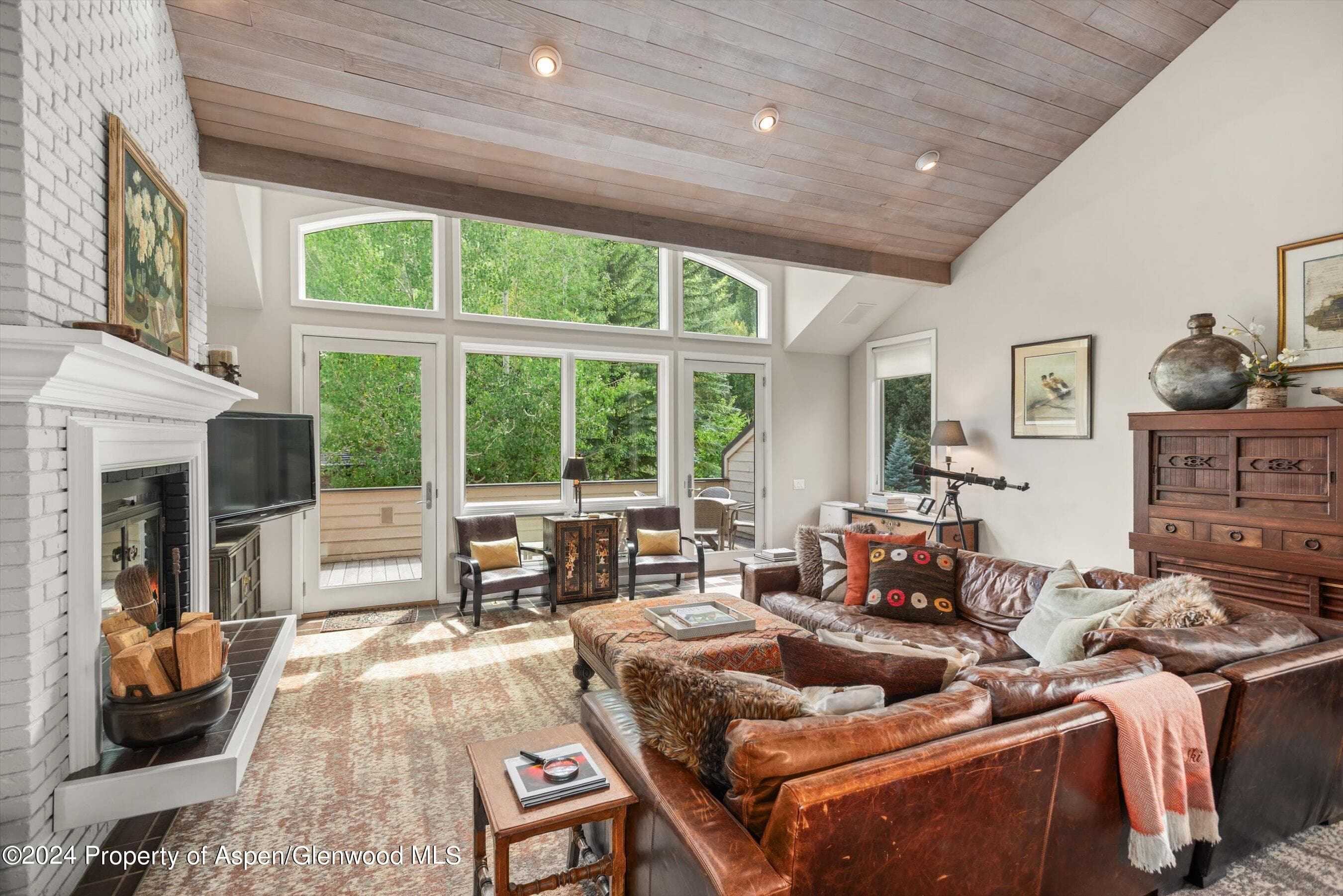 123 W Hyman Avenue Unit A, Aspen, CO 81611 - Photo 1