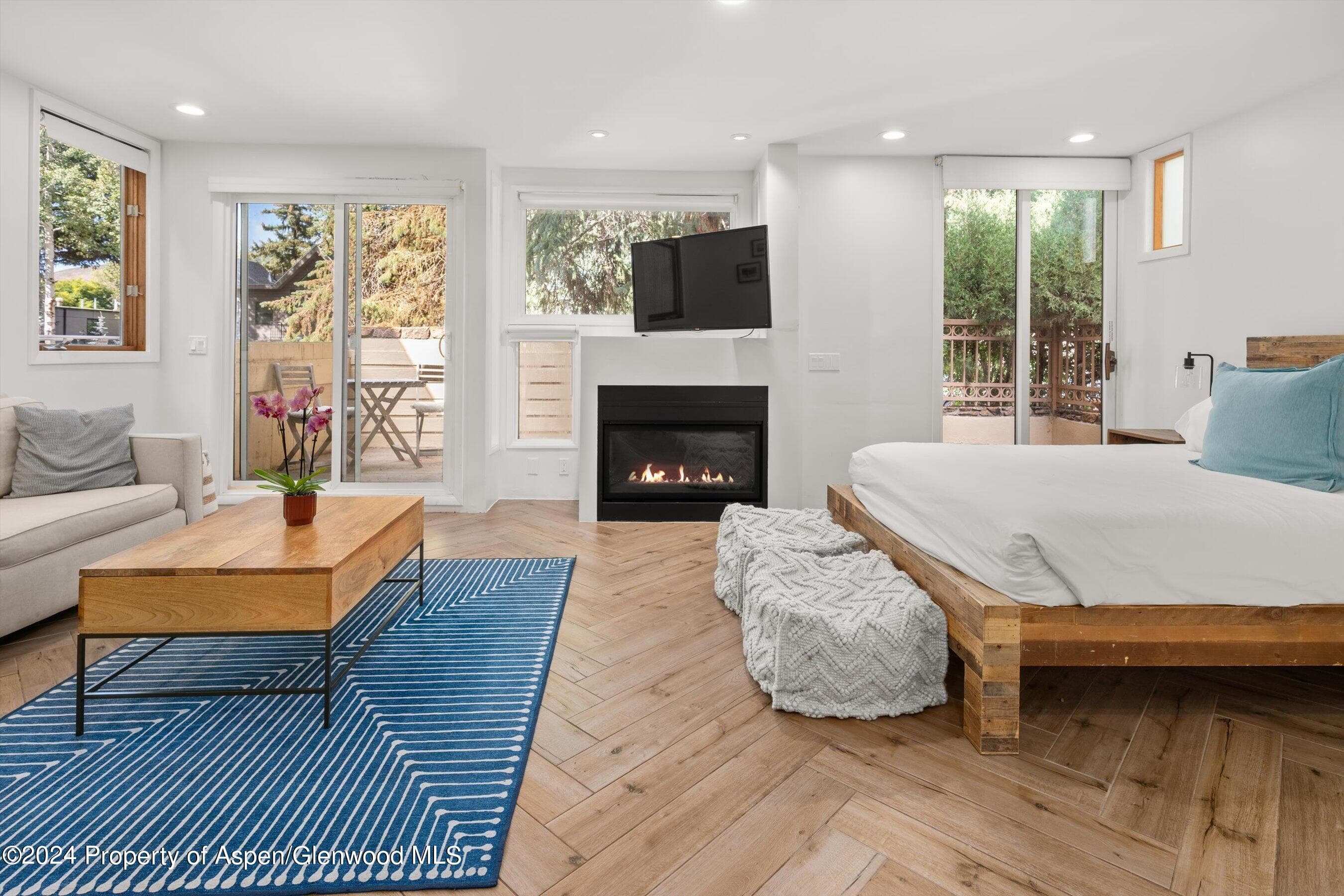 819 E Hyman Avenue 3, Aspen, CO 81611 - Photo 1