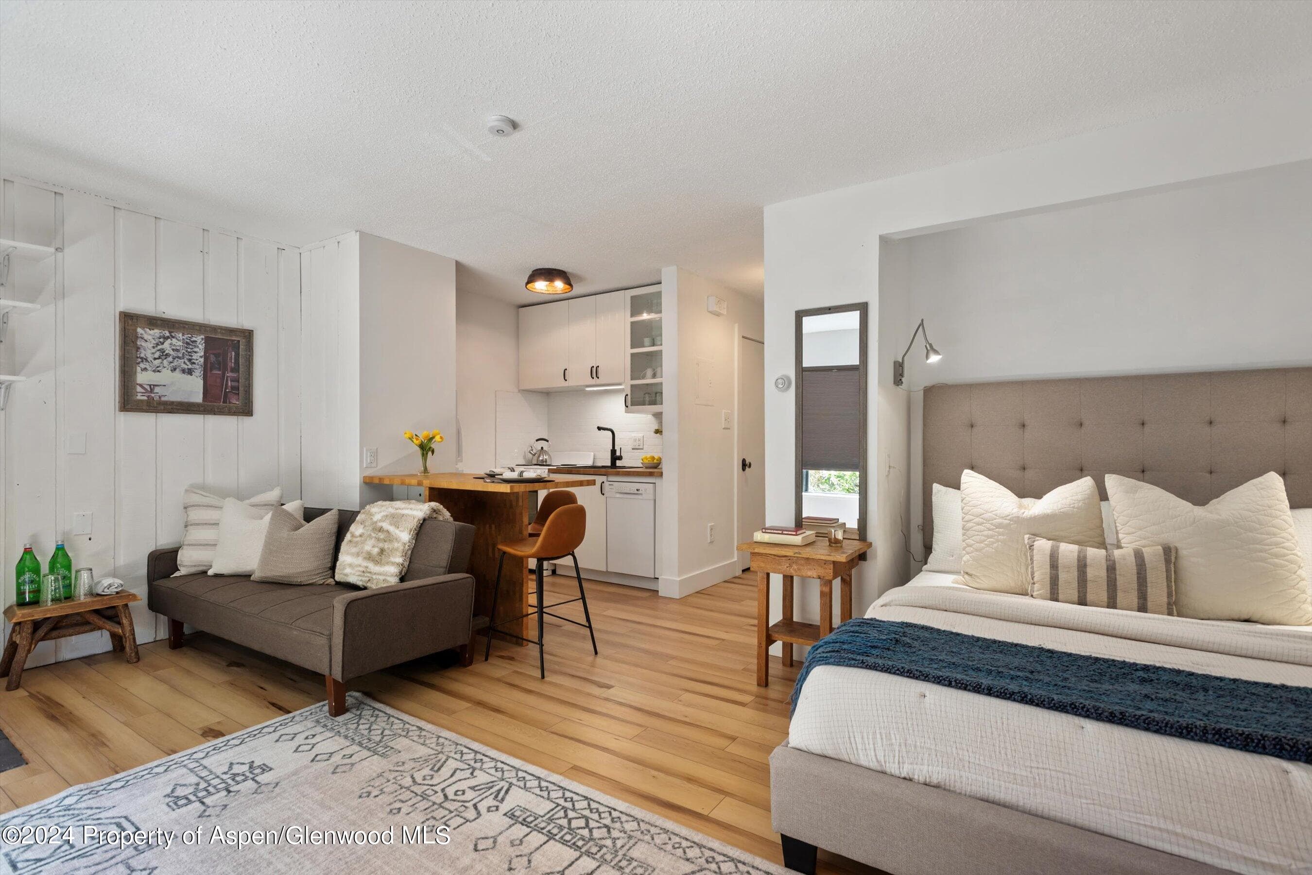 725 E Main Street #307, Aspen, CO 81611 - Photo 1