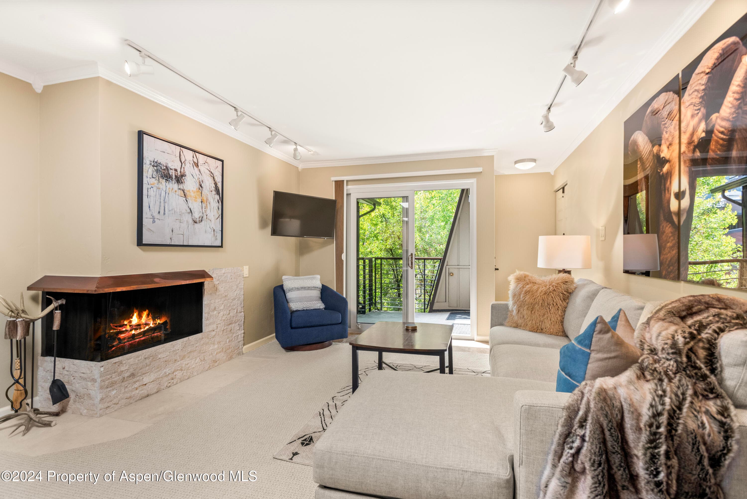 210 E Cooper Avenue 3b, Aspen, CO 81611 - Photo 1