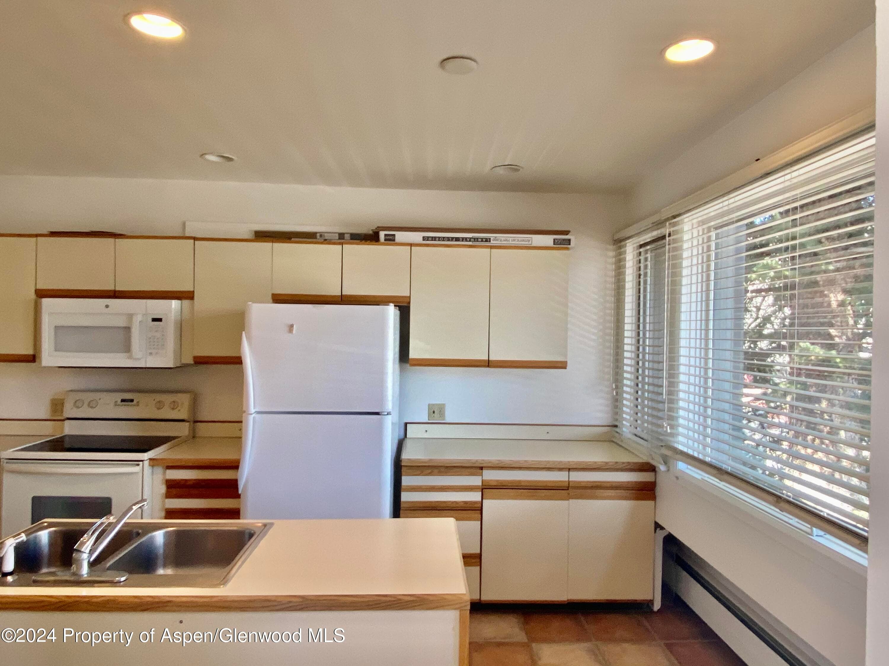309 Pacific Ave / ABC Unit M, Aspen, CO 81611 - Photo 1