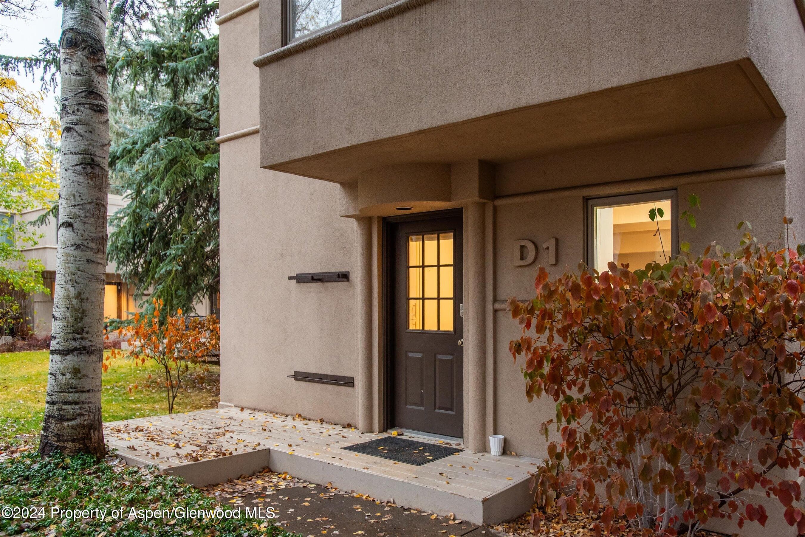 814 W Bleeker Street D1, Aspen, CO 81611 - Photo 1