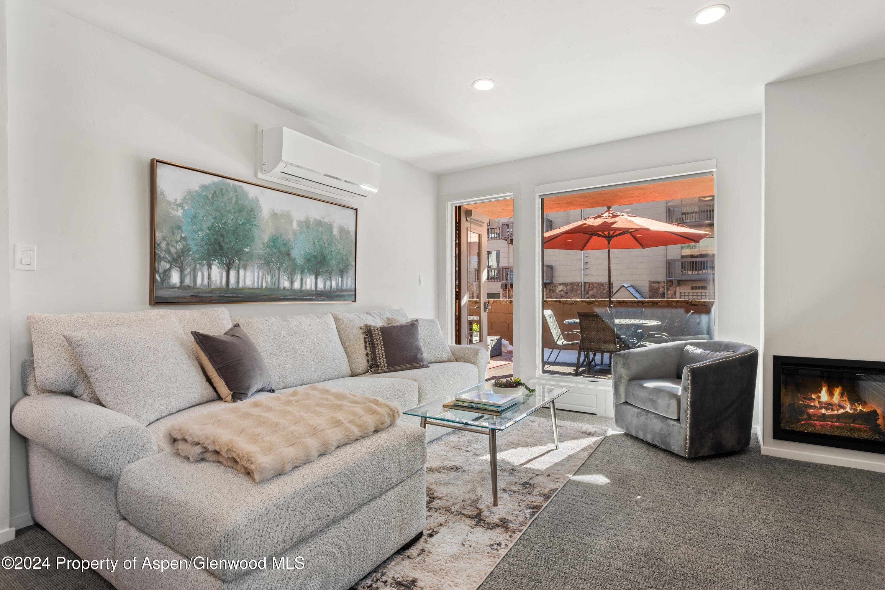 605 E Main Street #7, Aspen, CO 81611 - Photo 1