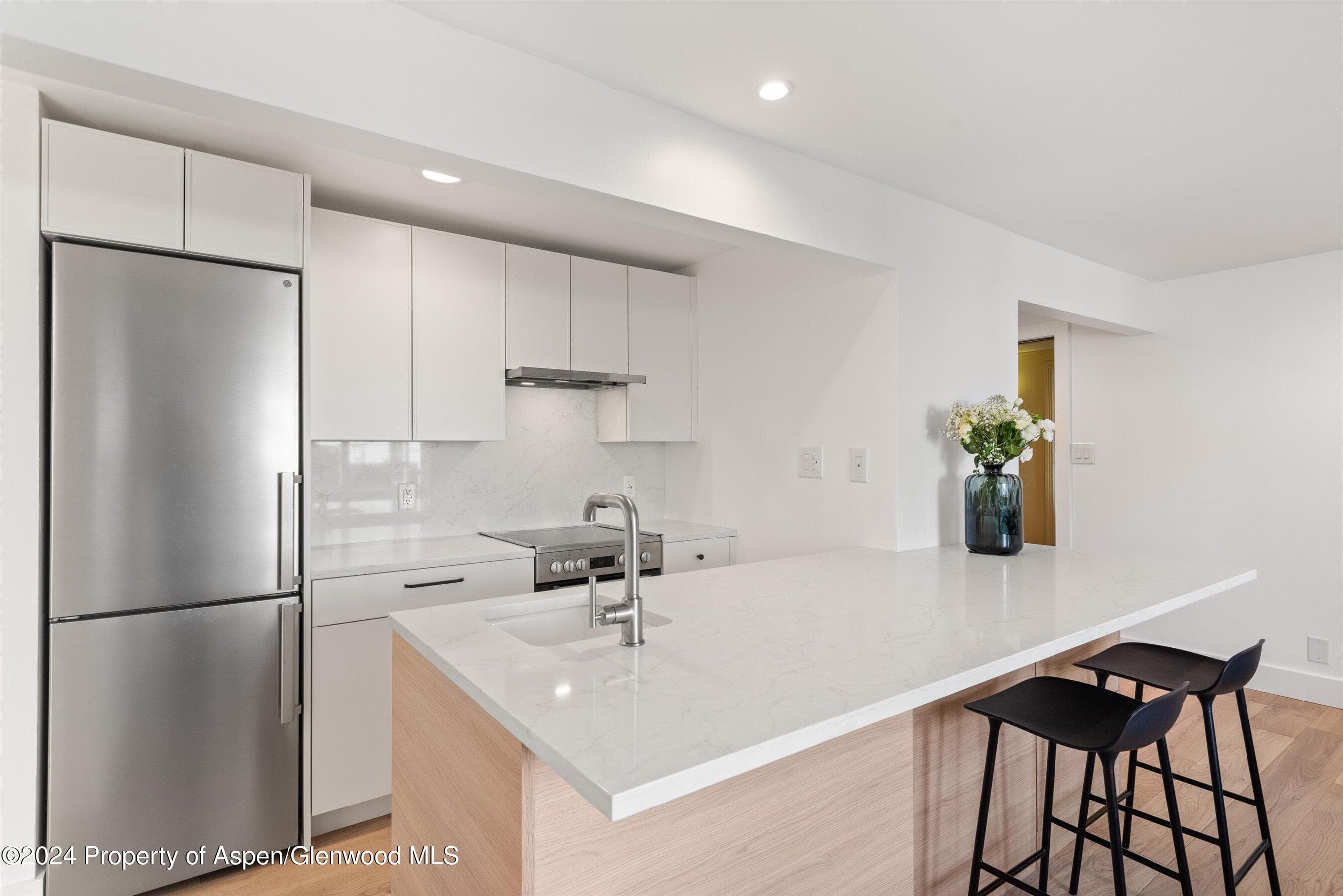 119 E Cooper Avenue 26, Aspen, CO 81611 - Photo 1