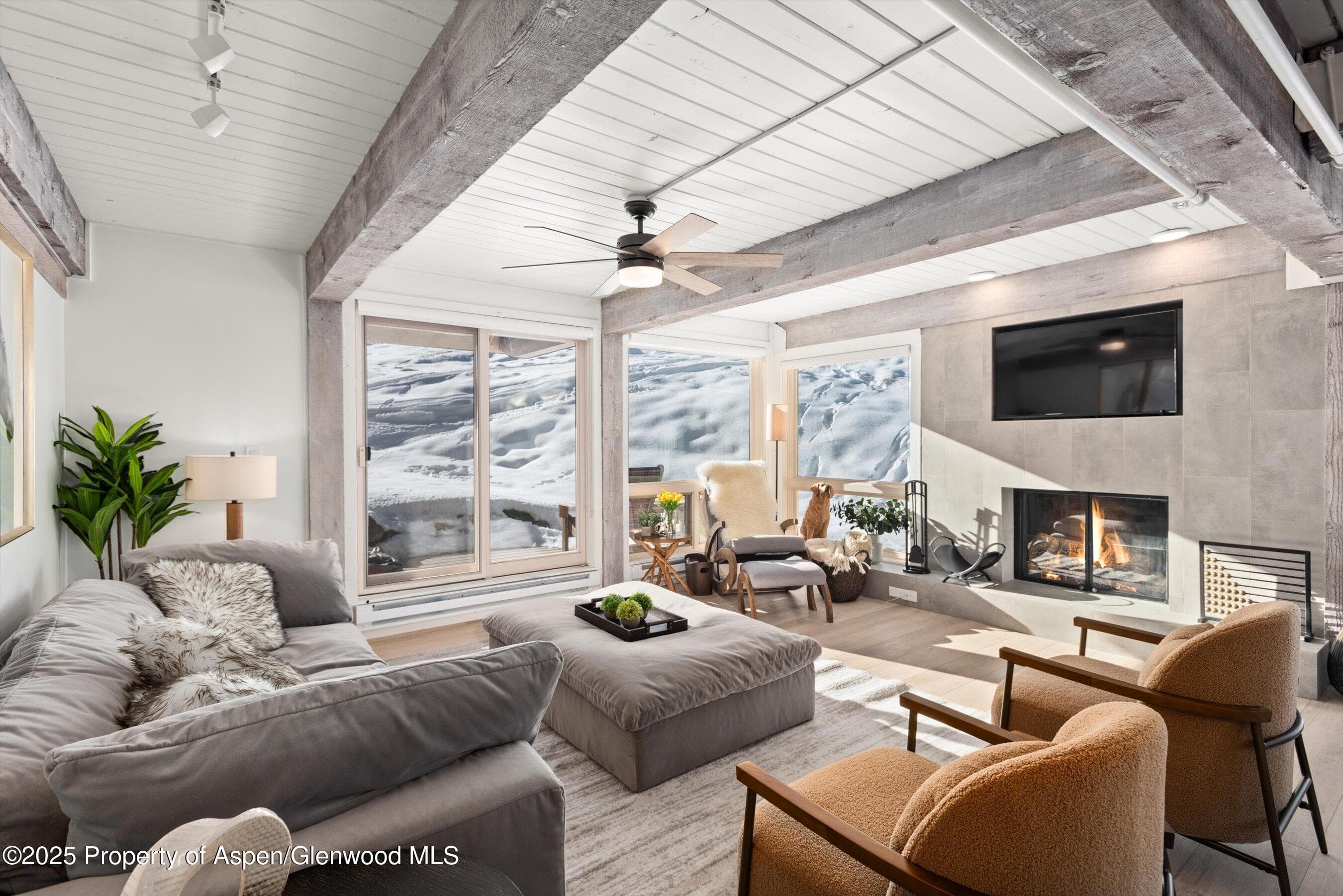 360 Wood Road 113, Snowmass Village, CO 81615 - Photo 1