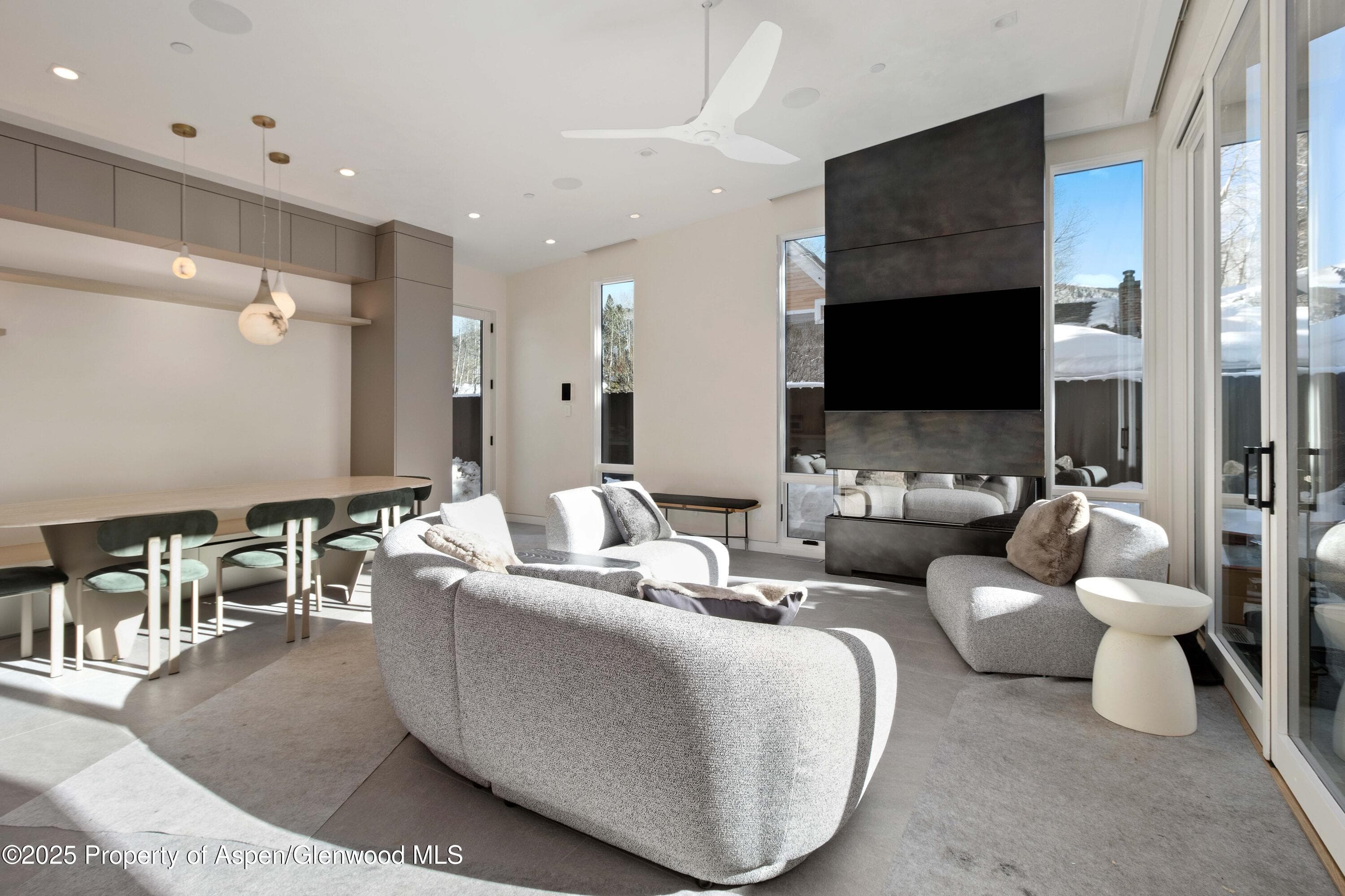 211 W Main Street 102, Aspen, CO 81611 - Photo 1