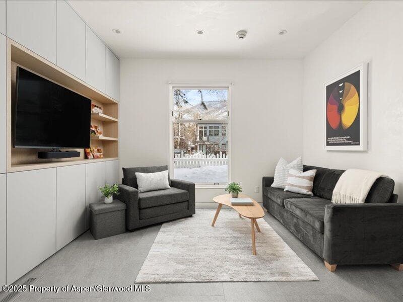 211 W Main Street 101, Aspen, CO 81611 - Photo 1