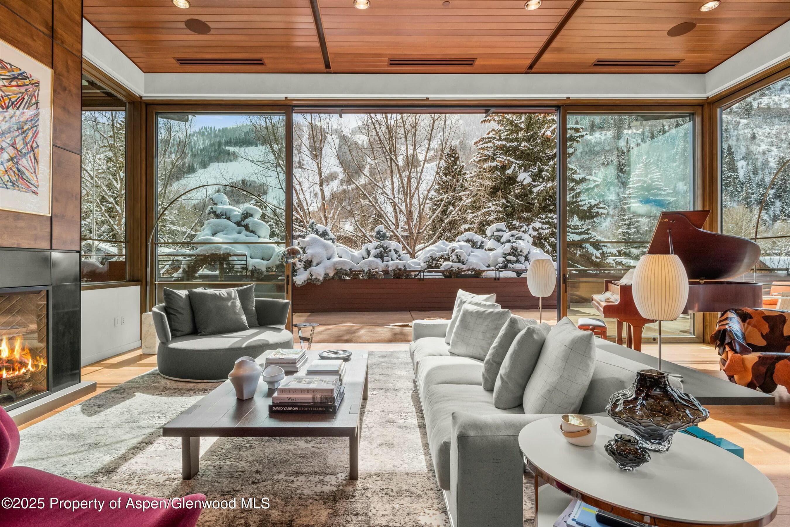 233 E Cooper Avenue 301, Aspen, CO 81611 - Photo 1