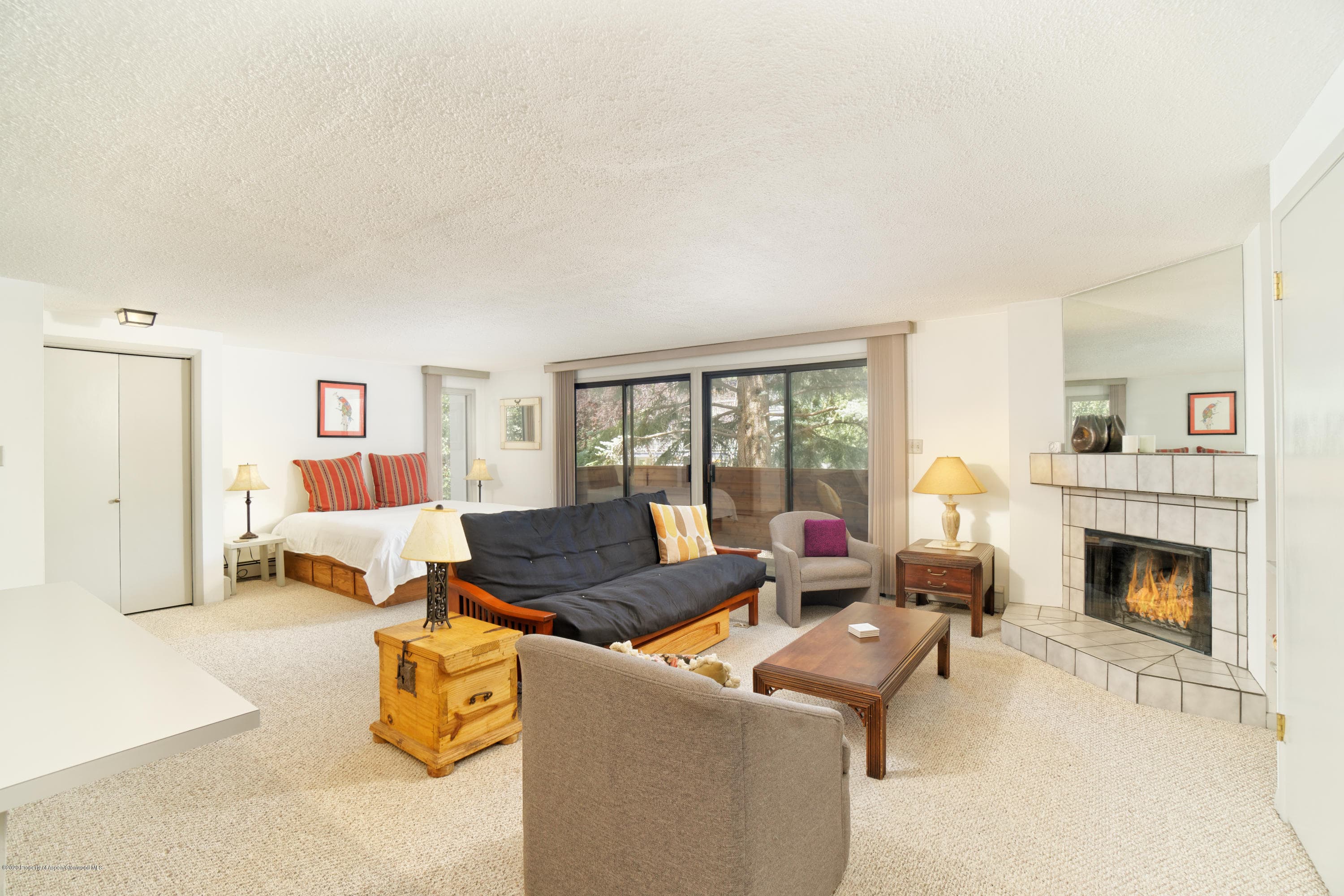 935 E Hopkins Avenue 6, Aspen, CO 81611 - Photo 1