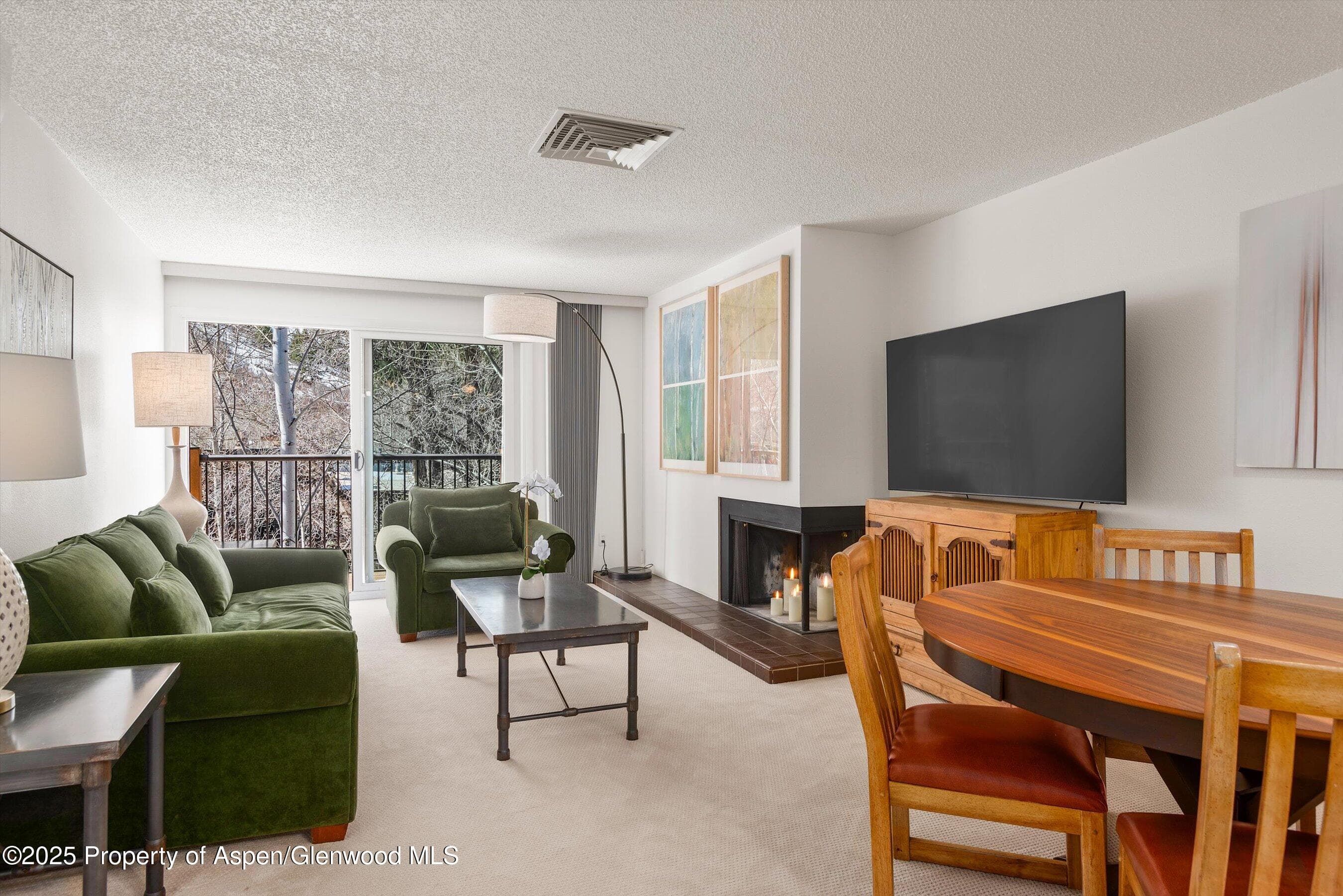 205 E Durant Avenue 3e, Aspen, CO 81611 - Photo 1