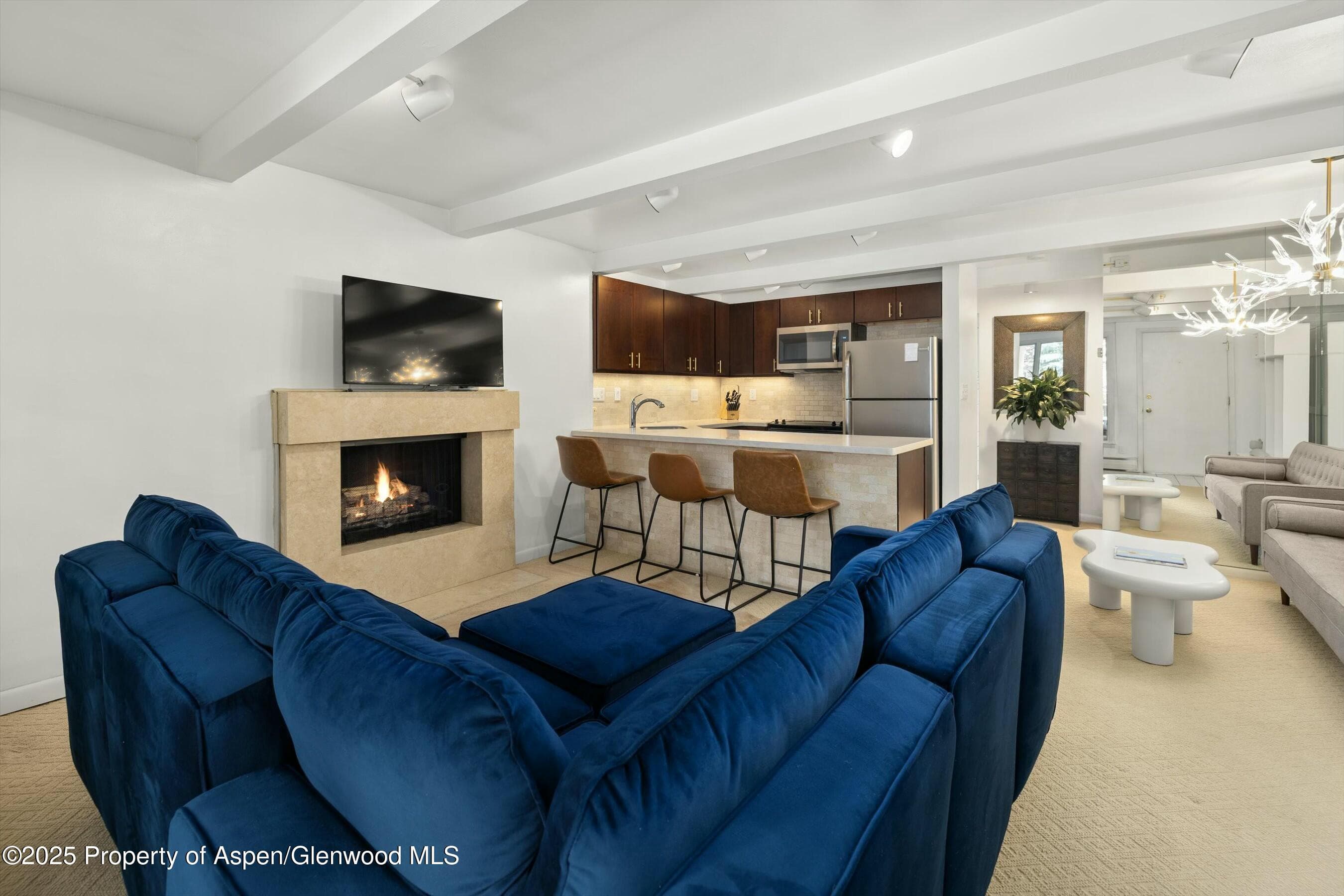 601 S S West End Street 7, Aspen, CO 81611 - Photo 1
