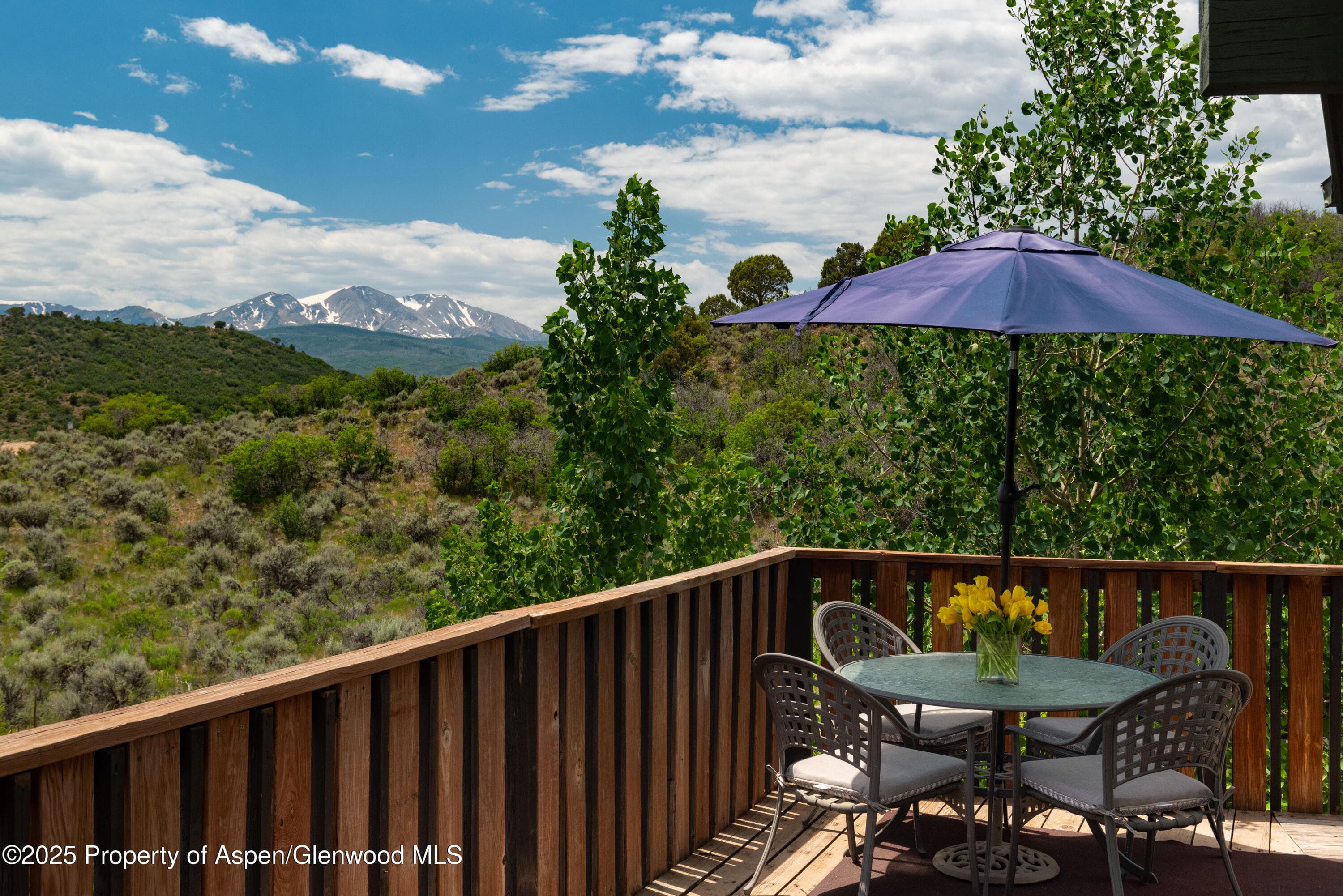 614 Light Hill Road, Snowmass, CO 81654 - Photo 1