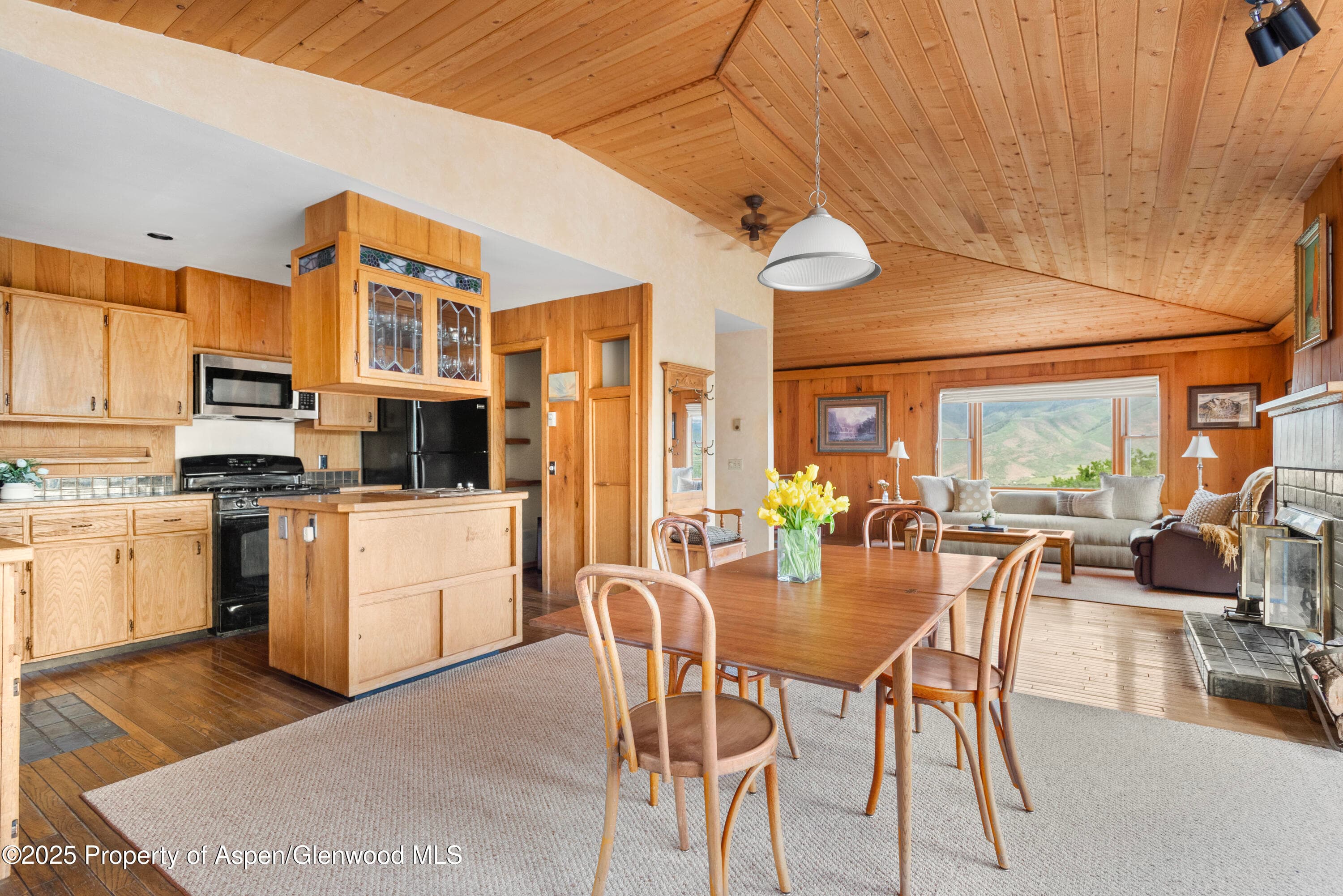 2020 Juniper Hill Drive, Aspen, CO 81611 - Photo 1
