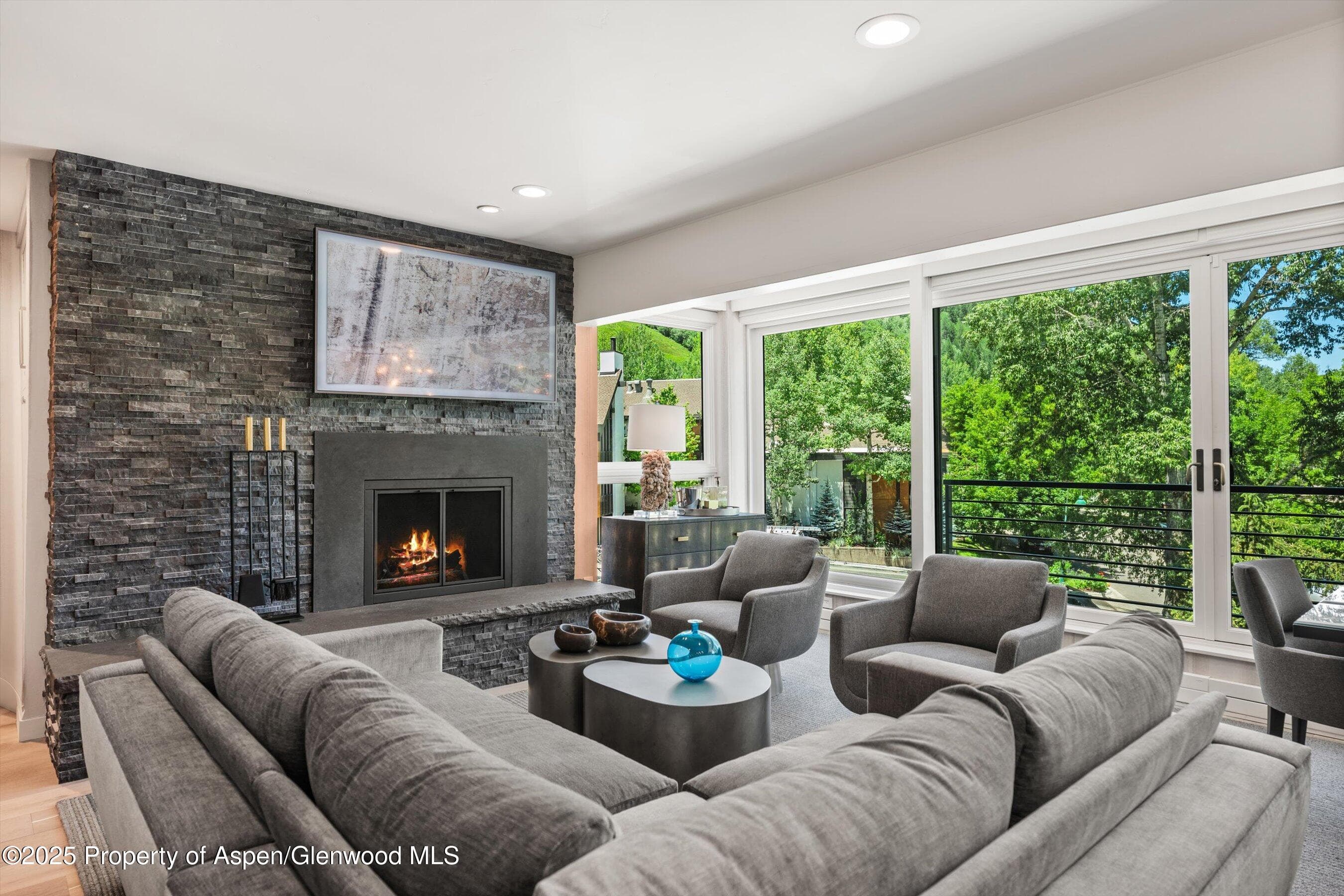748 S Galena Street Unit #4d, Aspen, CO 81611 - Photo 1