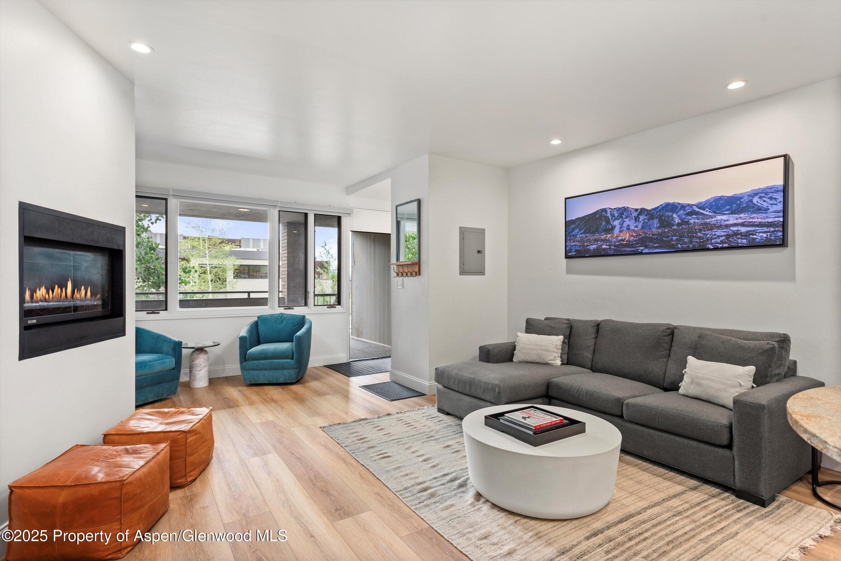 450 S Original Street #9, Aspen, CO 81611 - Photo 1