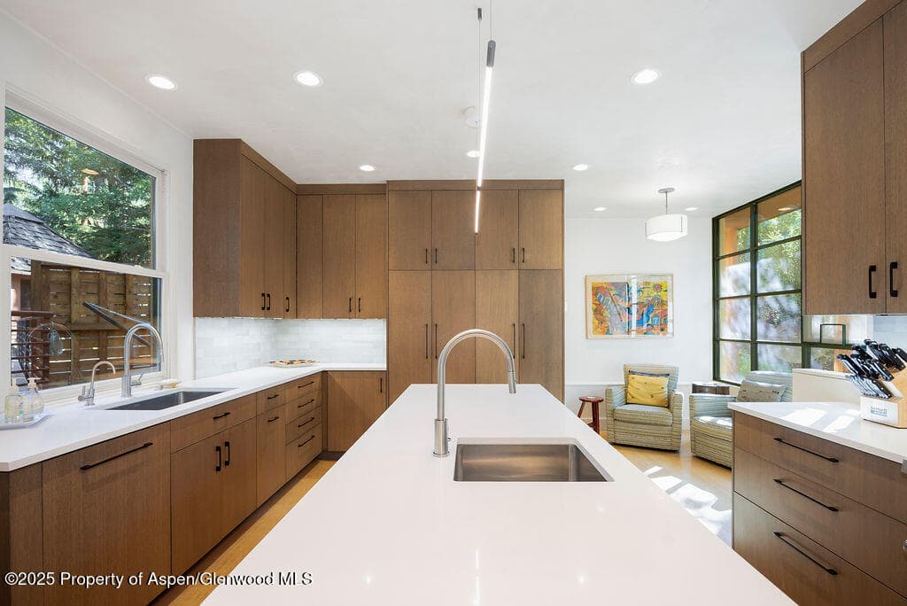 109 Neale Avenue, Aspen, CO 81611 - Photo 1