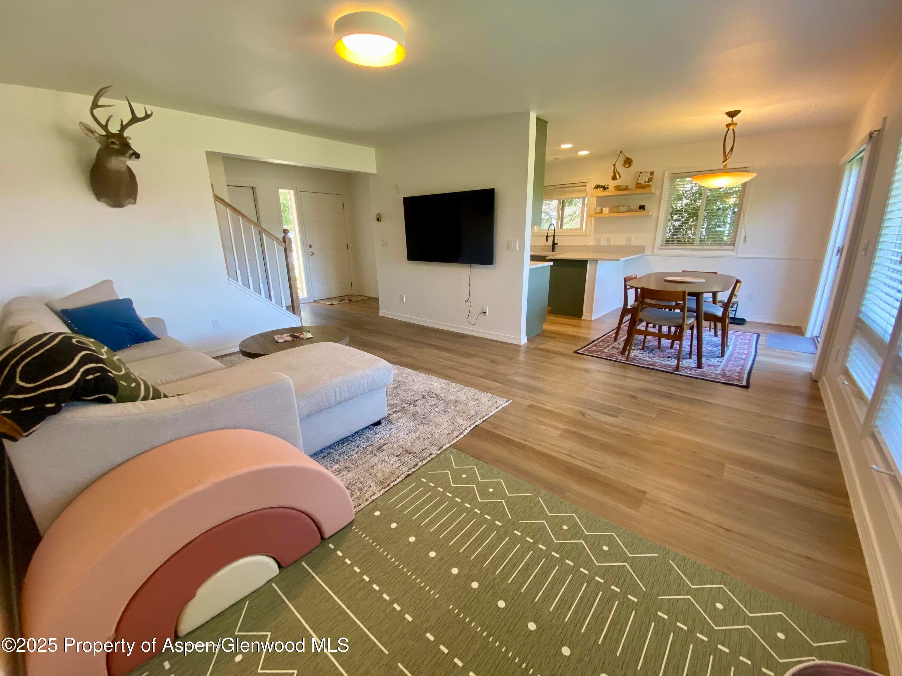 1167 Vitos Way, Carbondale, CO 81623 - Photo 1
