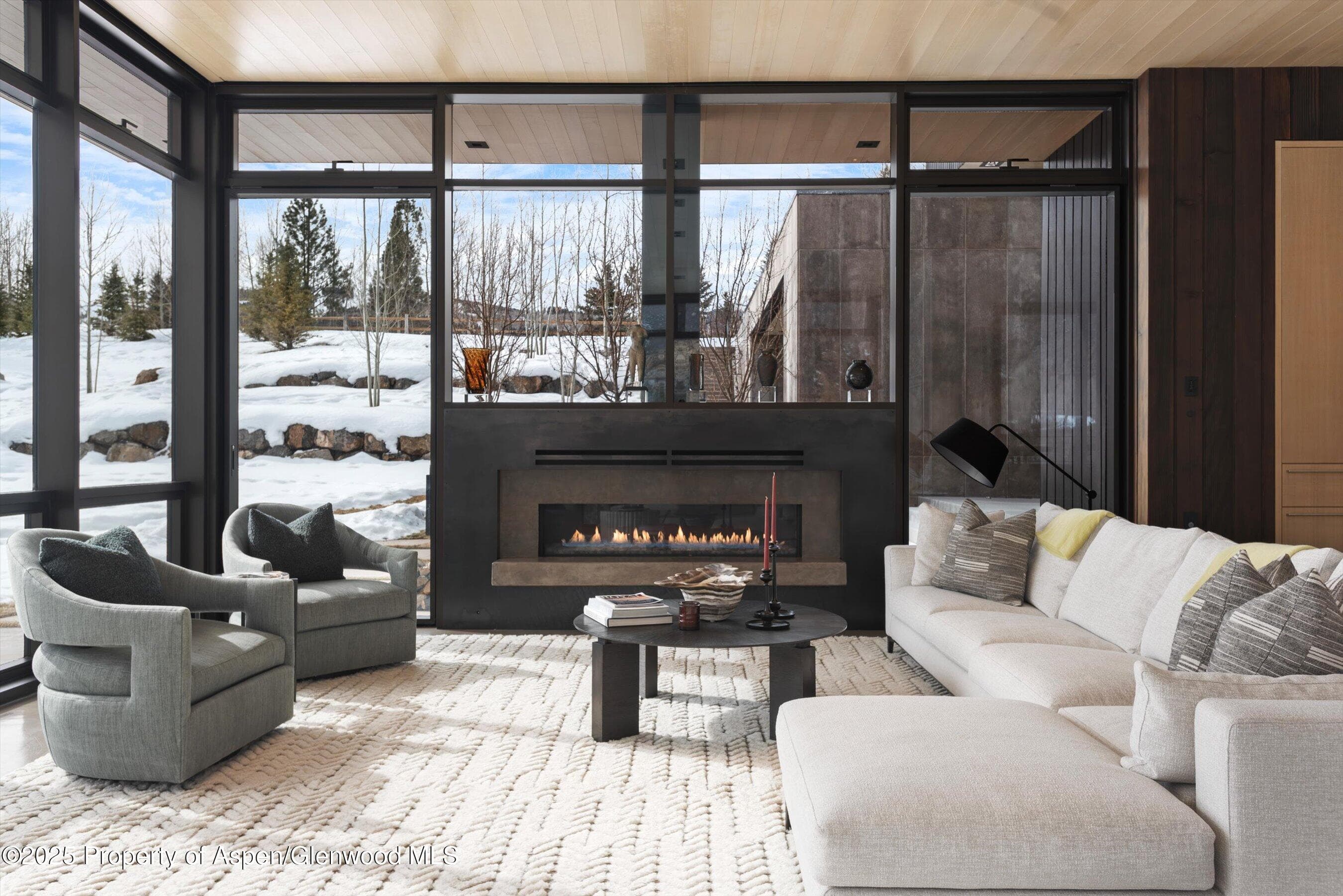 276 Coach Road, Aspen, CO 81611 - Photo 1