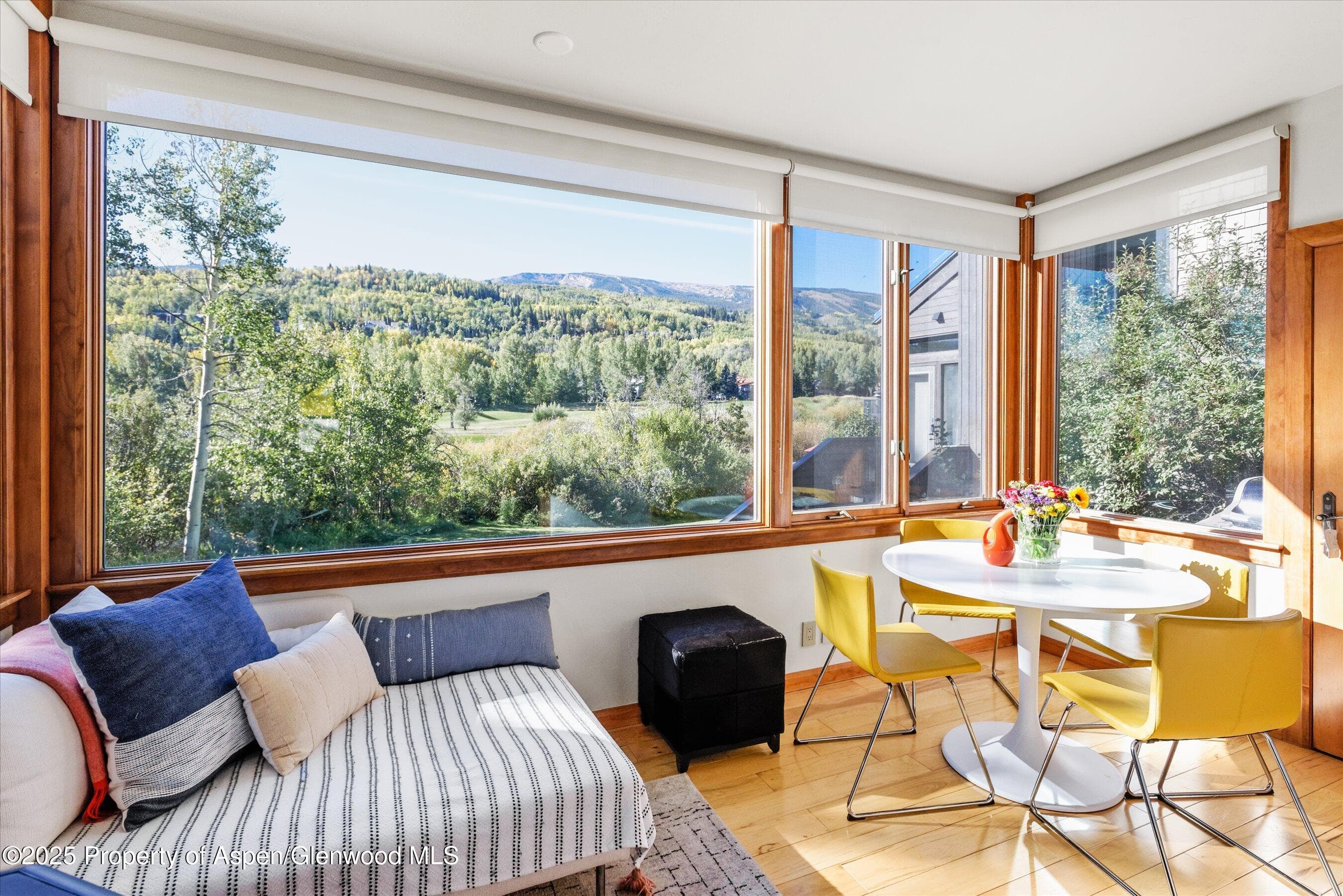 4000 Brush Creek Road 10, Snowmass Village, CO 81615 - Photo 1