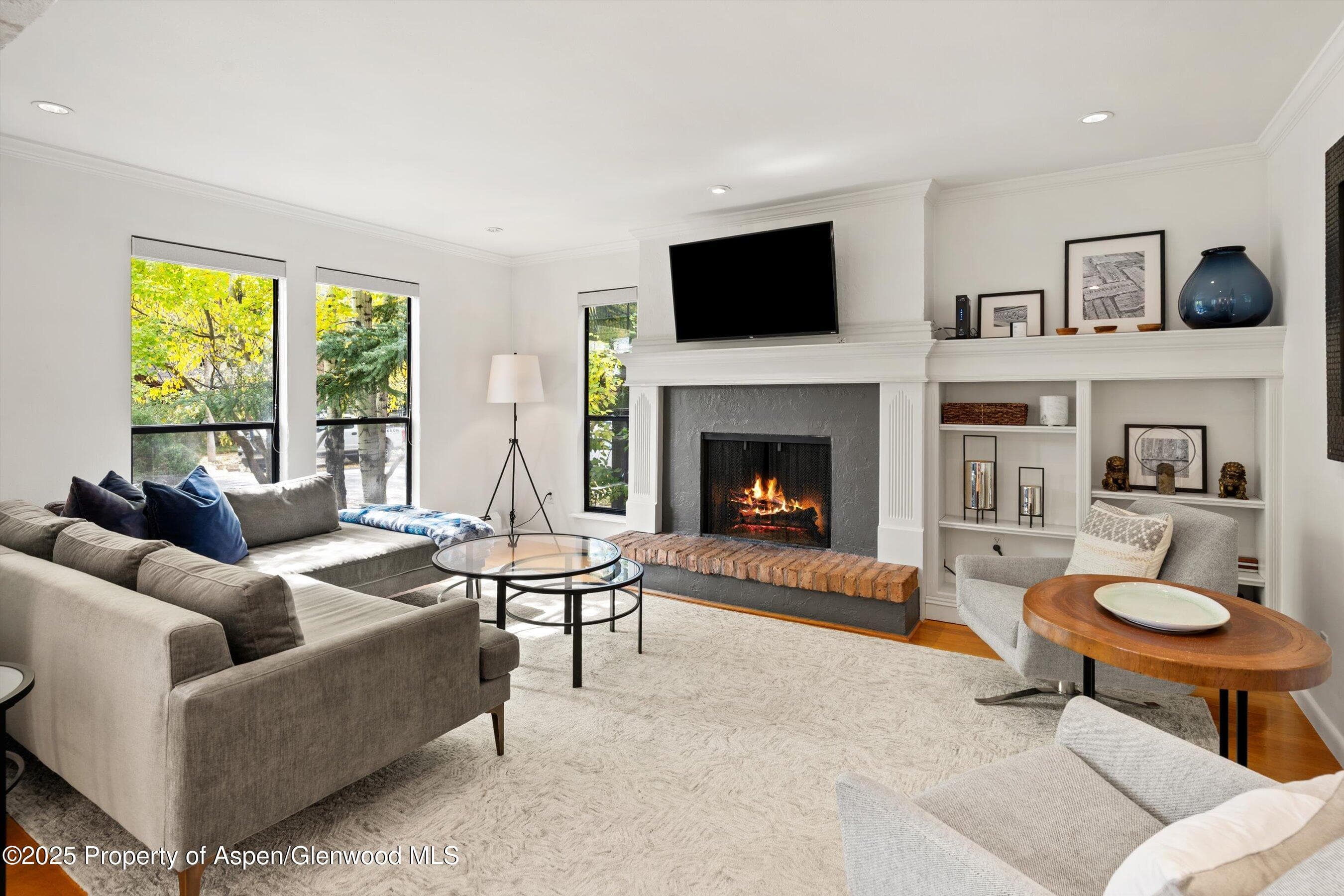 980 E Hyman Avenue 3, Aspen, CO 81611 - Photo 1