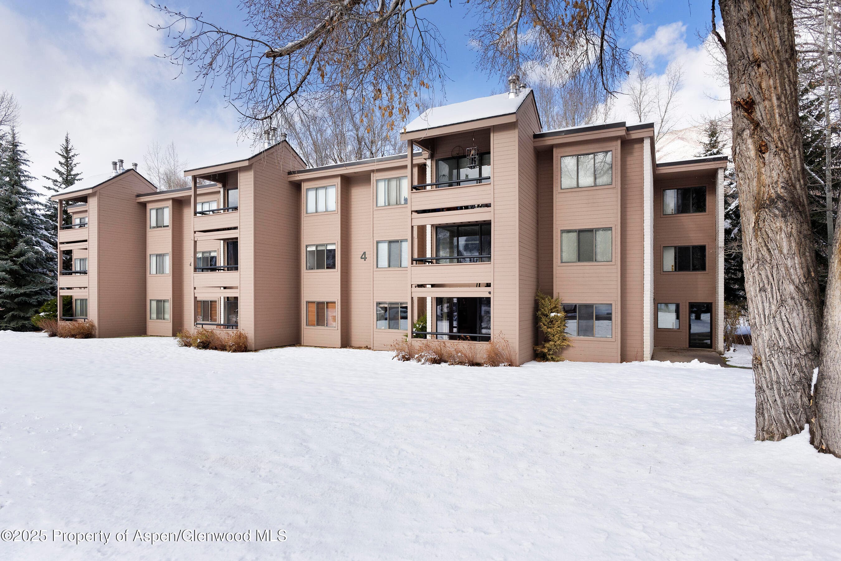 415 Vine Street 415, Aspen, CO 81611 - Photo 1