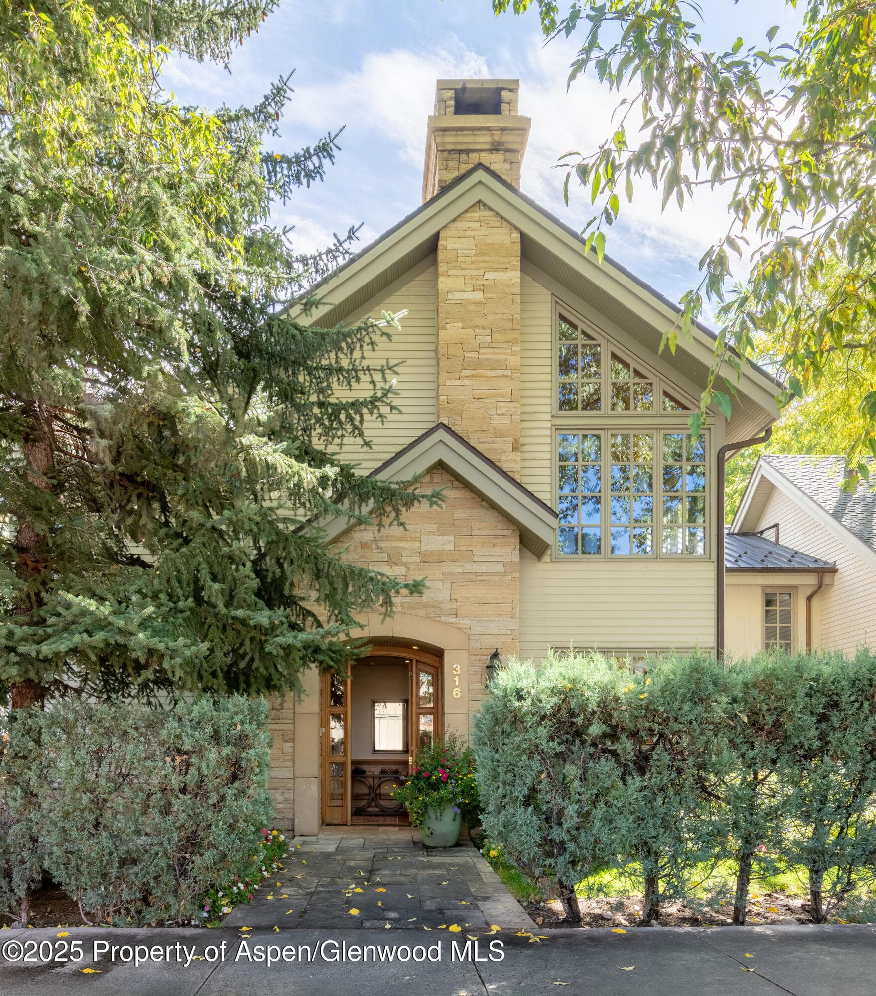 316 West End Street, Aspen, CO 81611 - Photo 1
