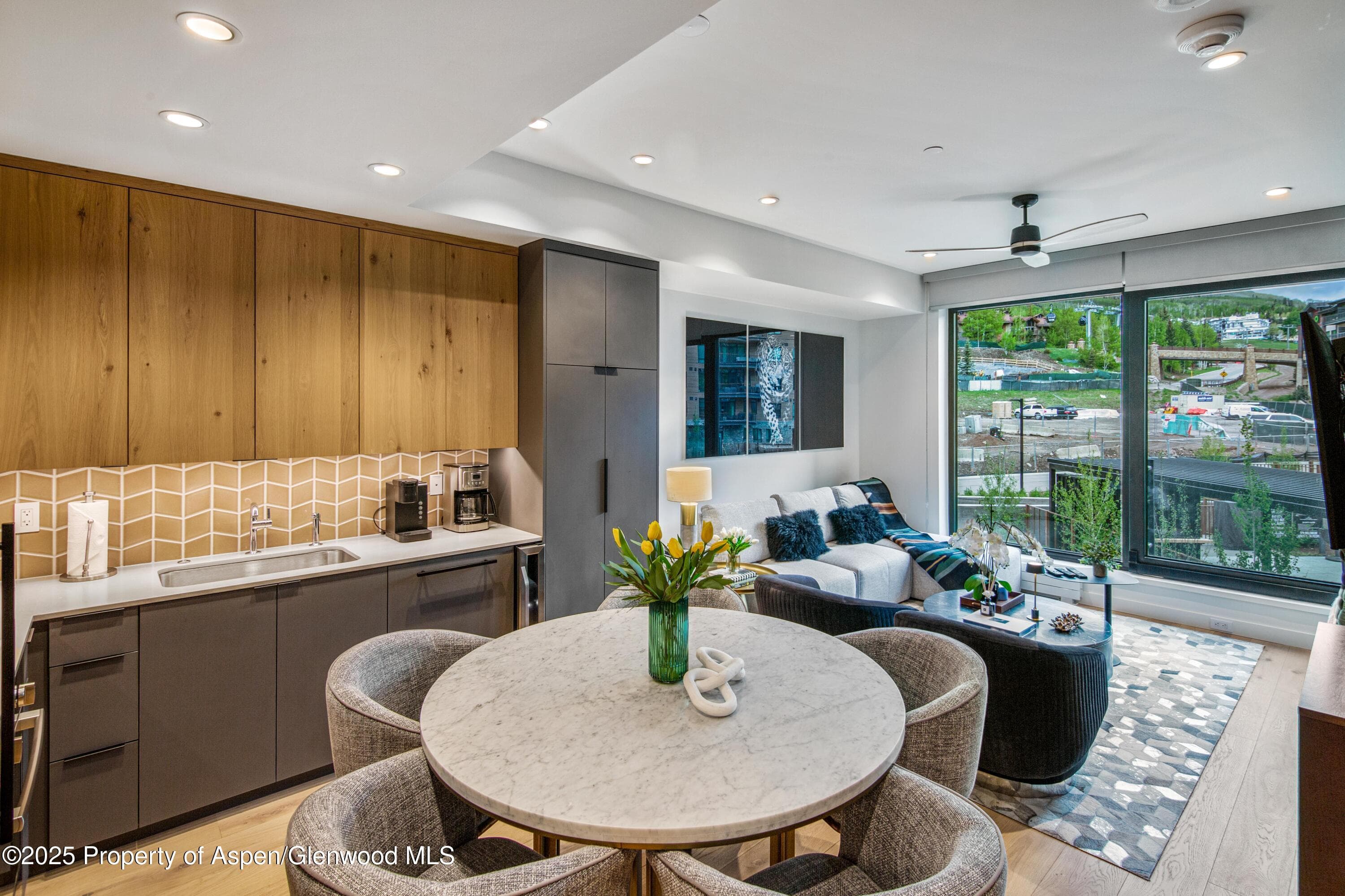 119 Wood Road 207, Snowmass Village, CO 81615 - Photo 1